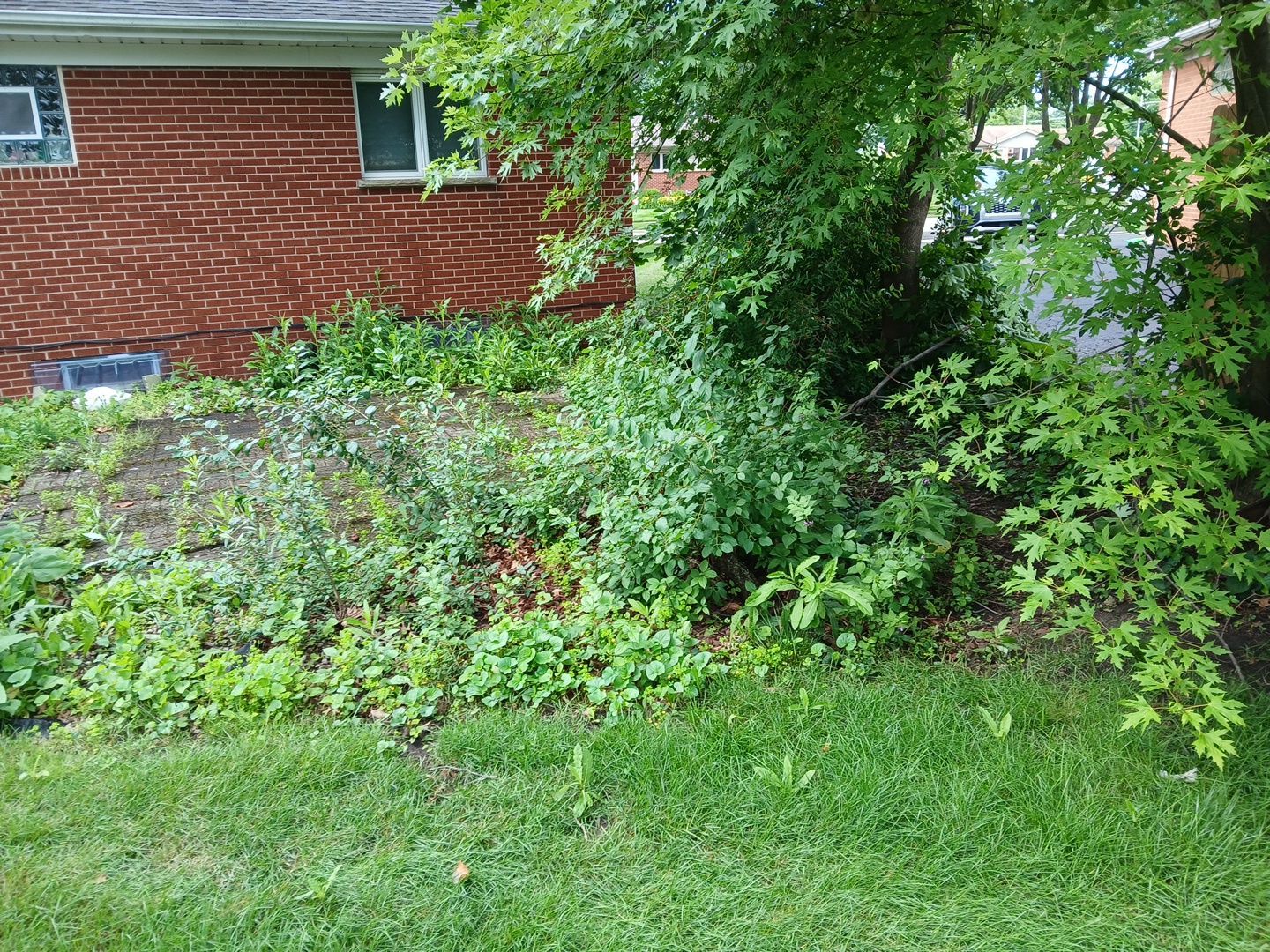 Justin M. - Mount Prospect, IL by A&N 