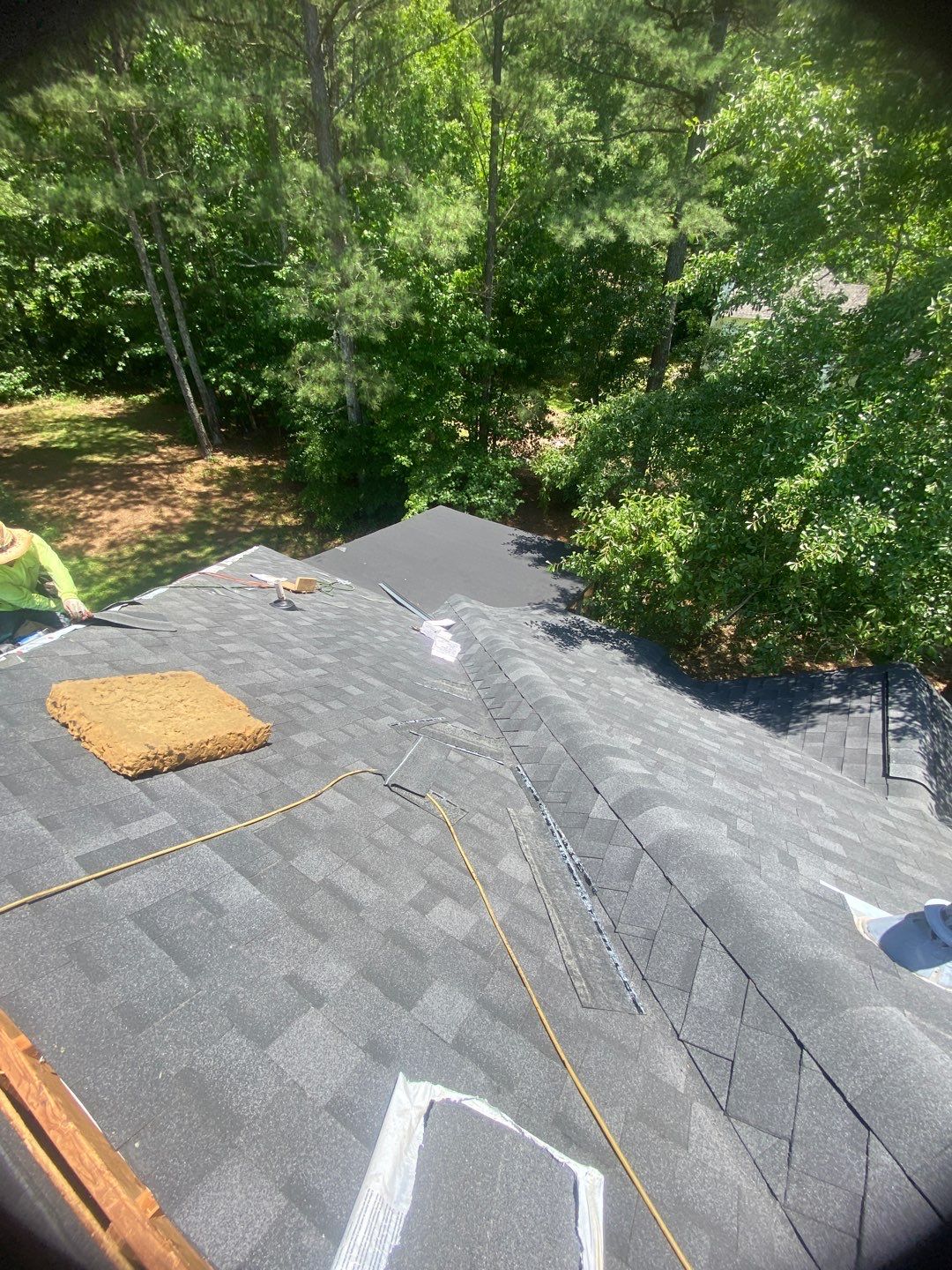Rotten Wood by Roof Bullies