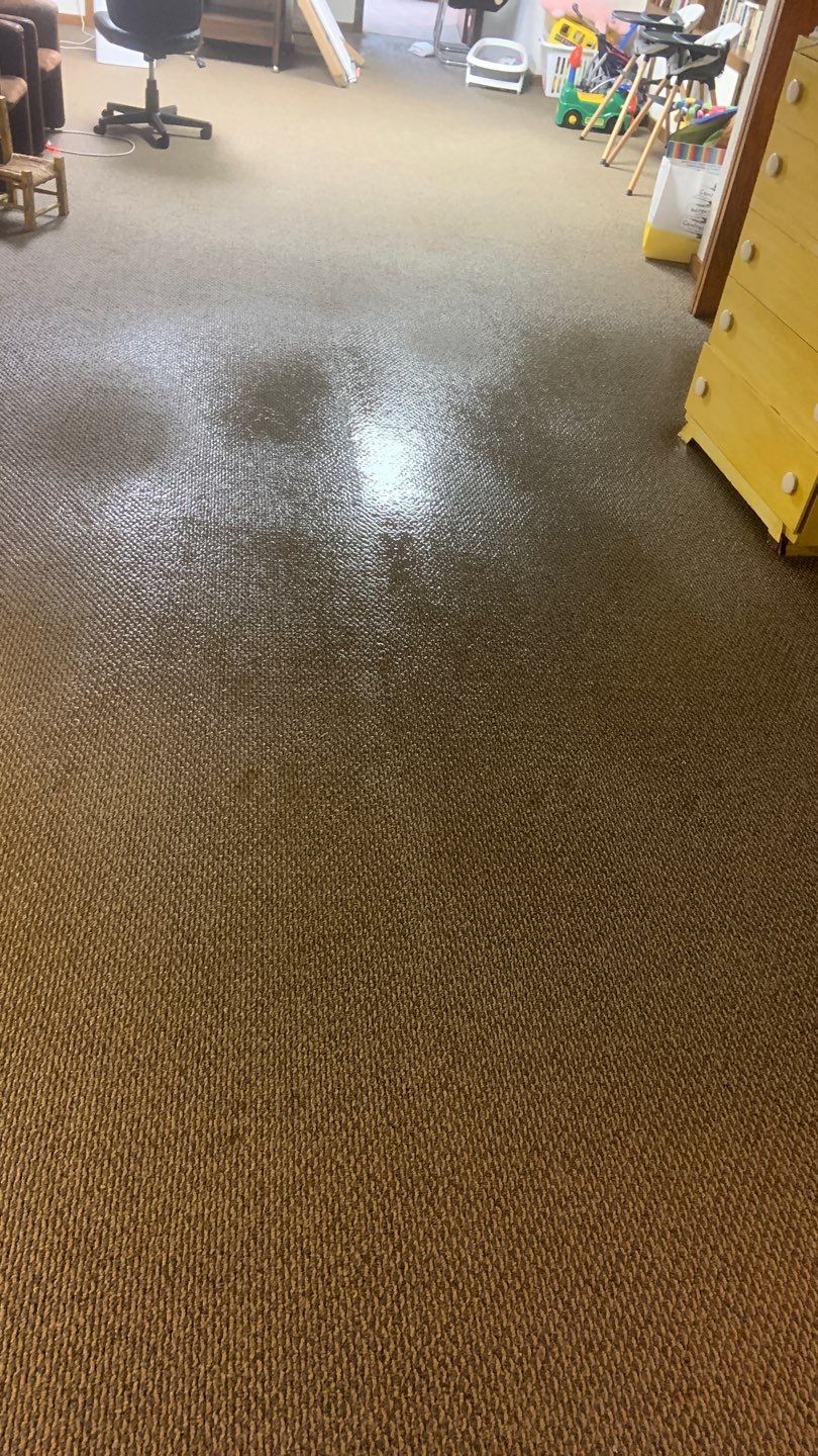 Sump Pump Failure by Chicagoland Water Medics