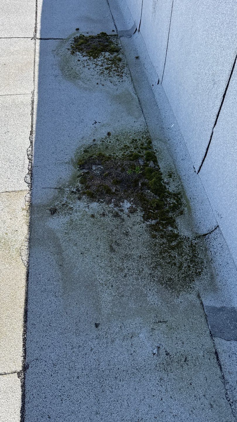 Project by NuLead Construction Inc by NuLead Construction Inc