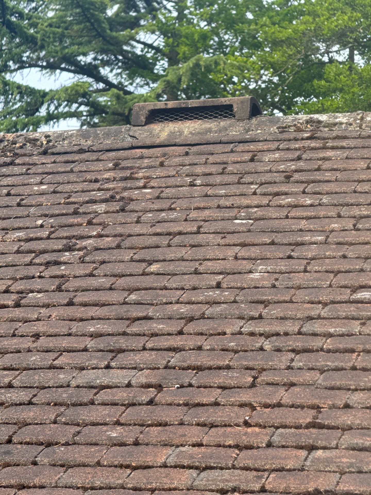 Roof Clean and Biocide Treatment using Honda 15lpm Low Pressure Washing Machine by Ges Exterior Cleaning ltd