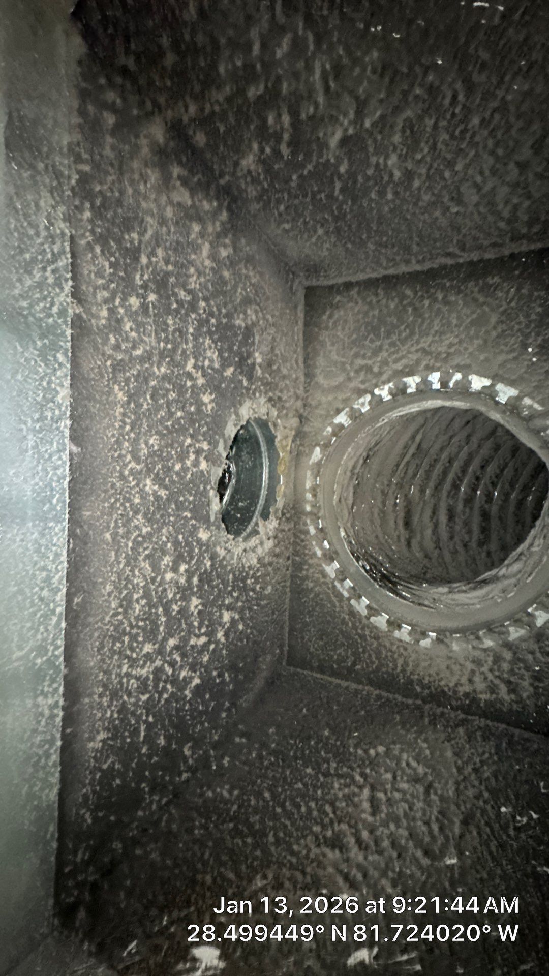 Air Duct Cleaning in Clermont by Hygienic Air, Inc