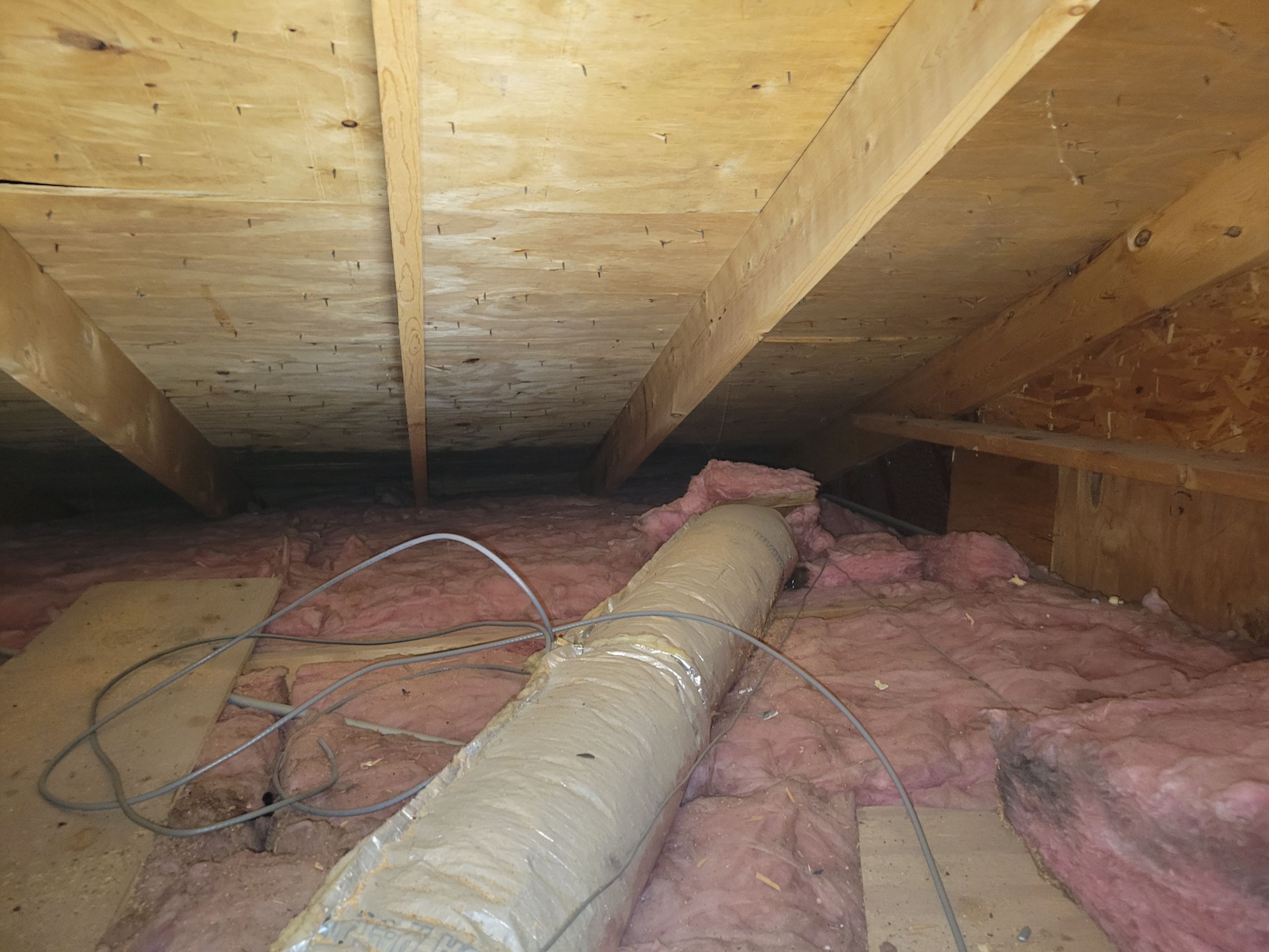 Attic Mold Remediation by Chicagoland Water Medics