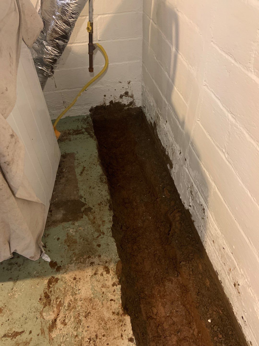 Helping Diane Protect Her Home by Waterproofing Northeast