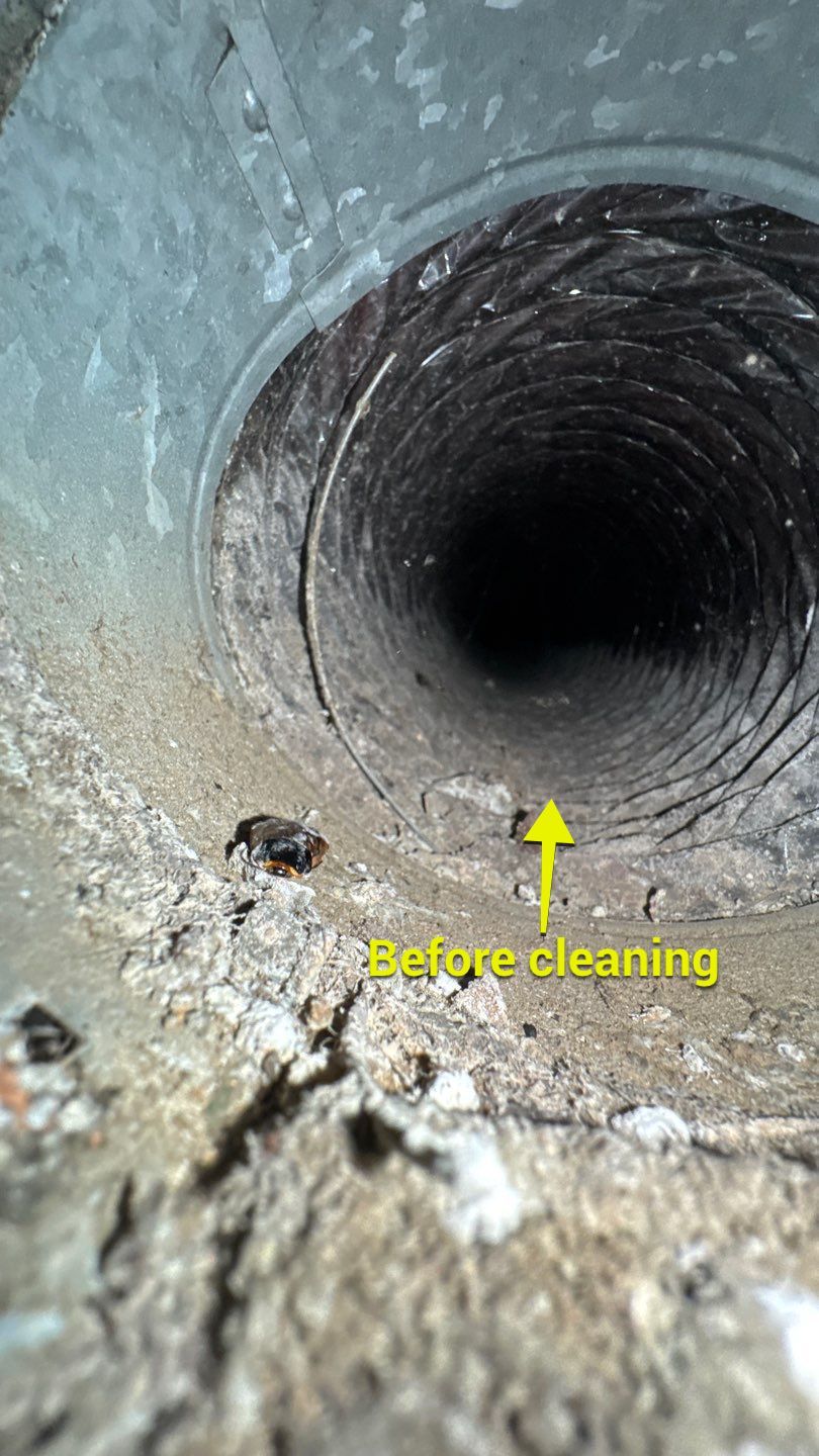 Extremely Dirty Air Duct Cleaning in Fruitland Park by Hygienic Air, Inc