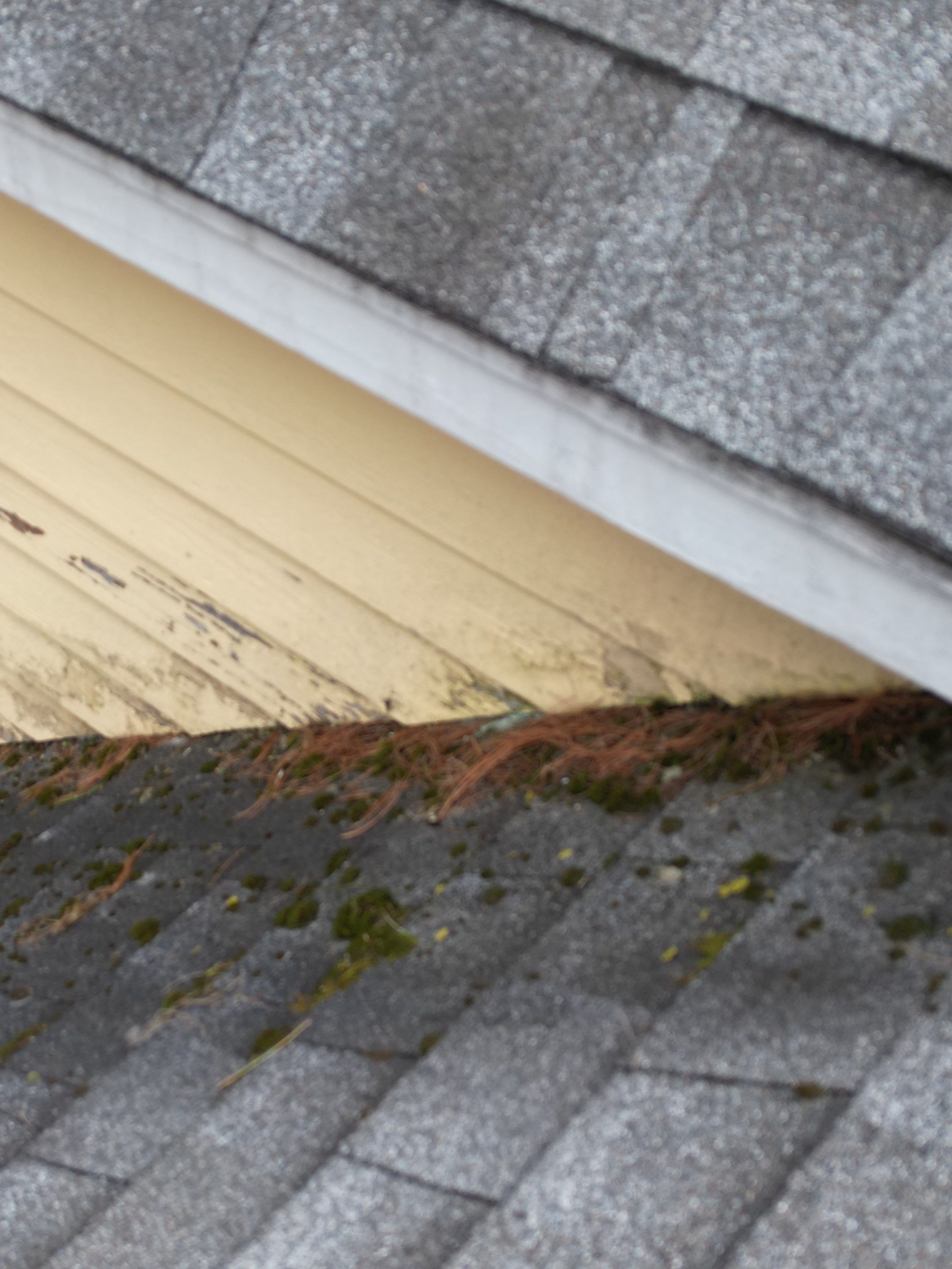 Siding | Dunstable by Mighty Dog Roofing of Greater Middlesex County