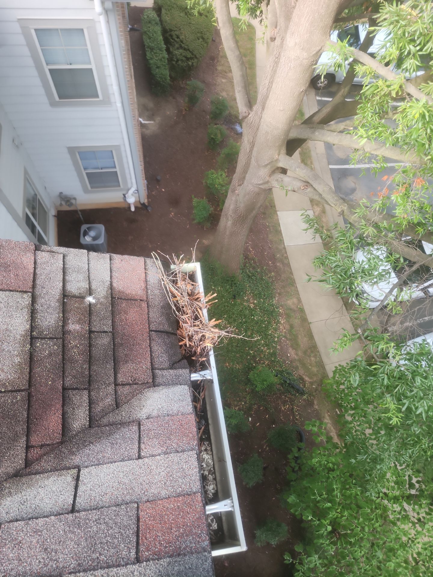 Commercial gutter cleaning Washington before photo with filled gutters