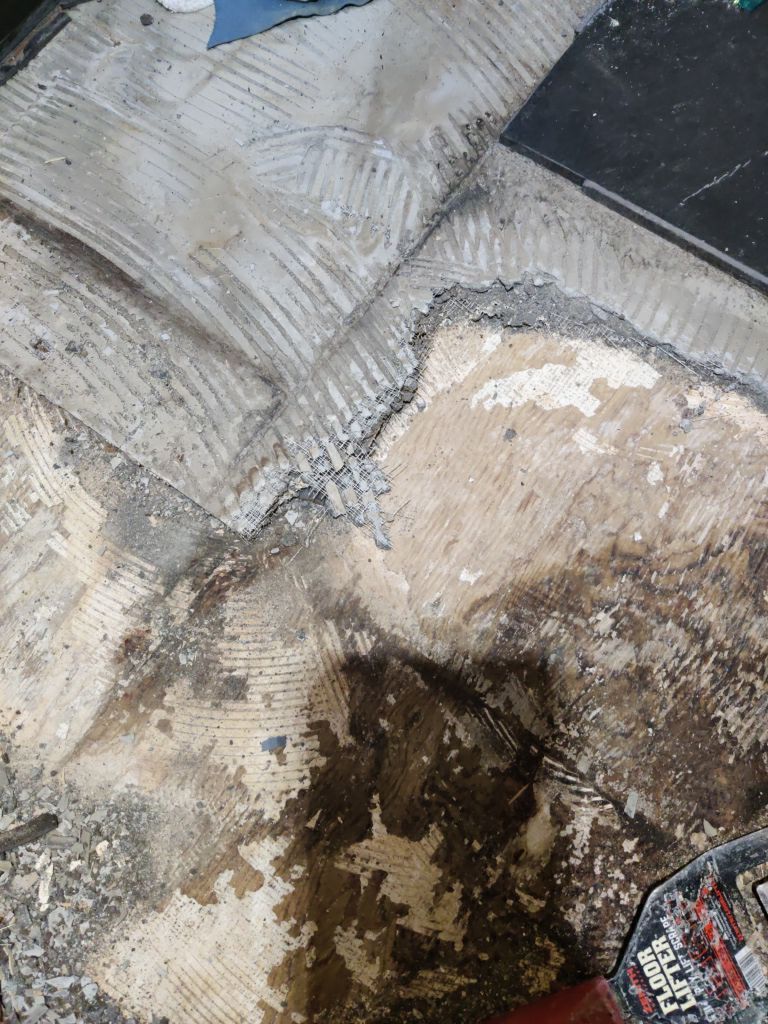 Mold Remediation using Containment by Accountable Home Services