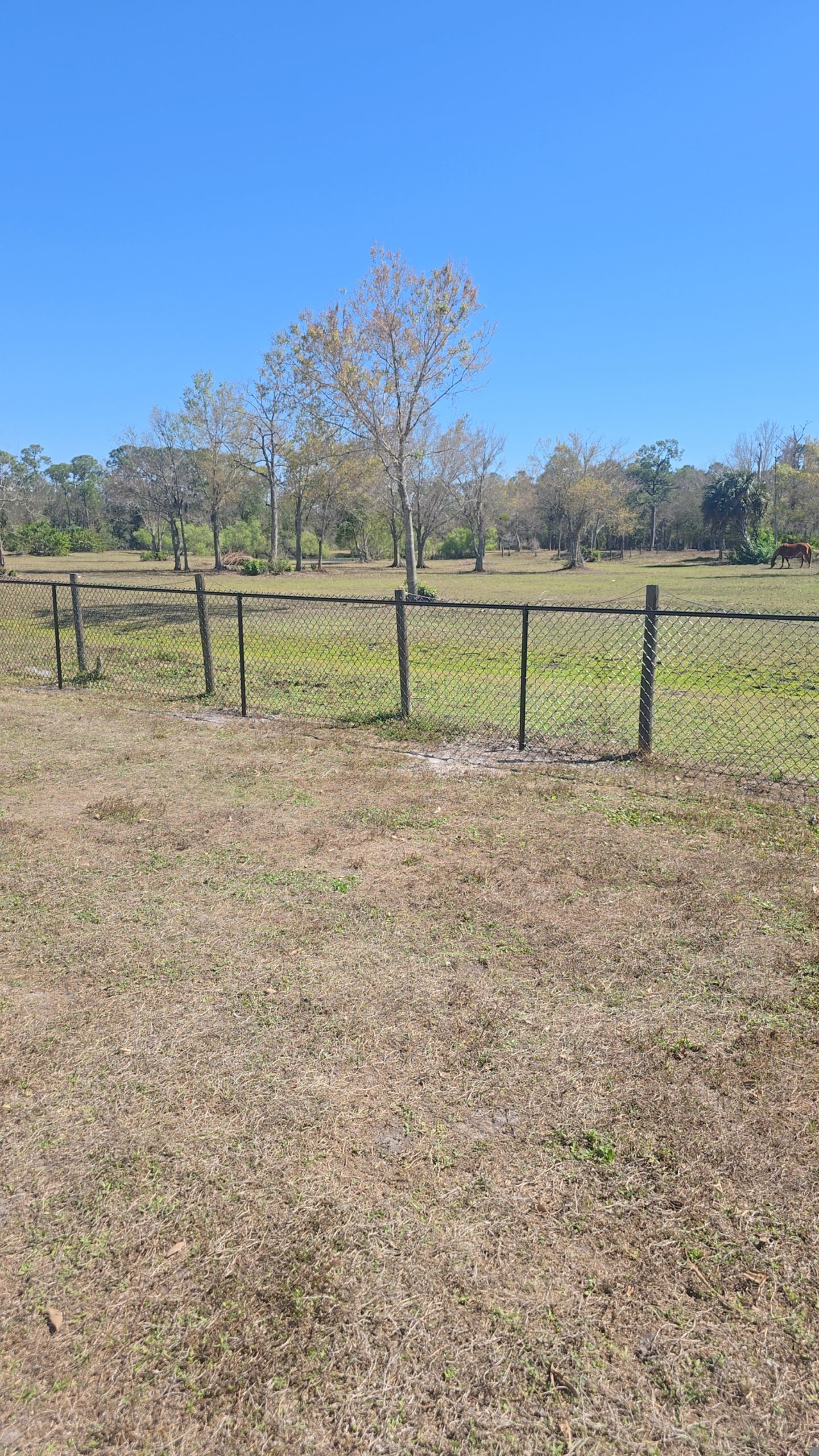 Chain Link Fence in Punta Gorda by True Fence LLC