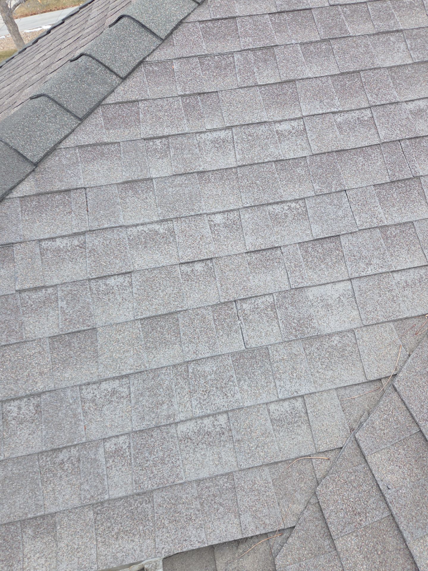 New Roof using Malarkey - Vista - Weather wood plus by RTP Roofing Company