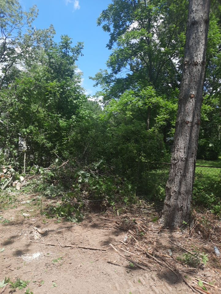 Tree Removal using Tree Removal by Mike Jones & Sons Tree Service LLC 