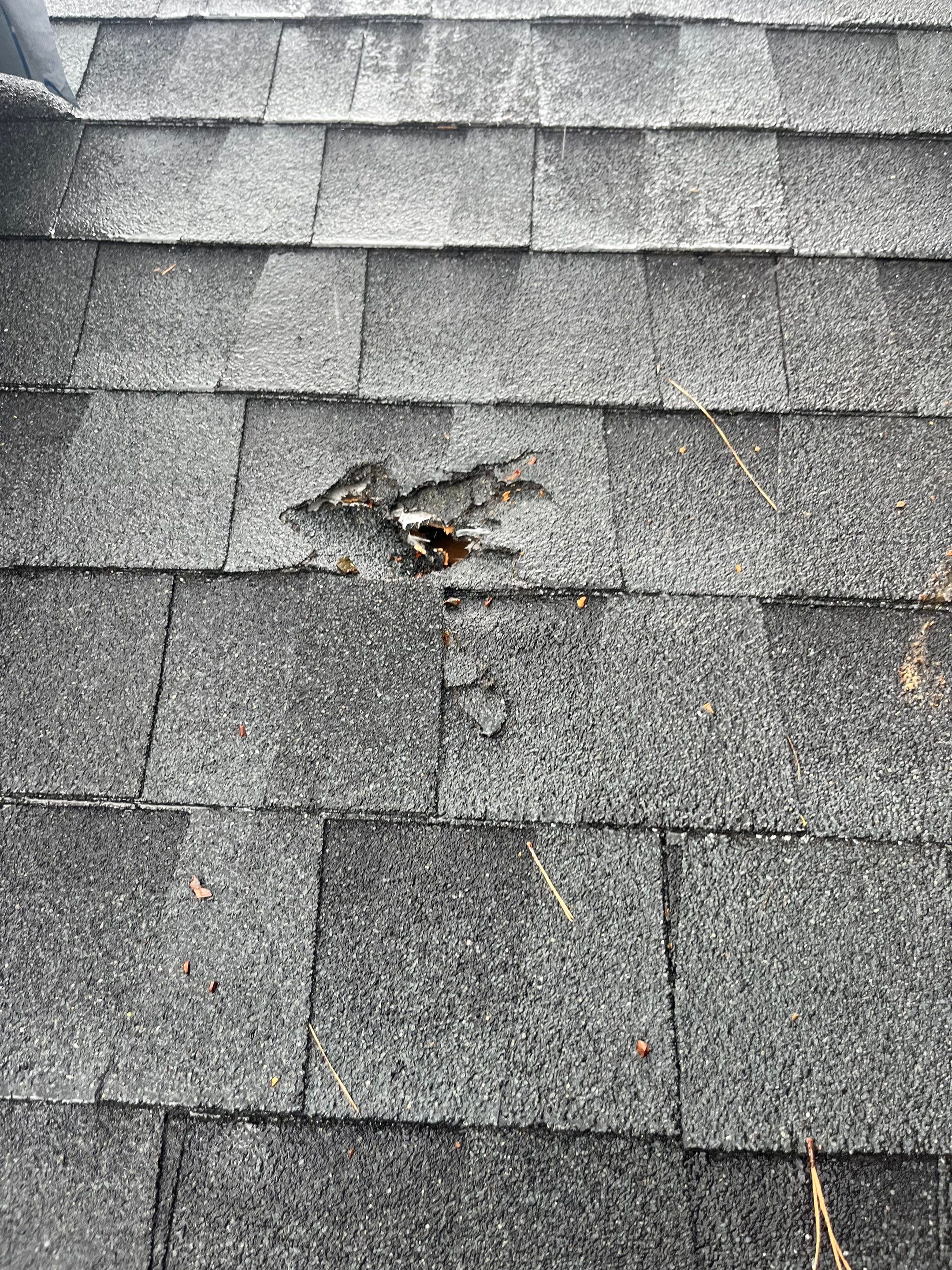 New Bern Roof Replacement Following Storm and Tree Damage by North Carolina Roofs