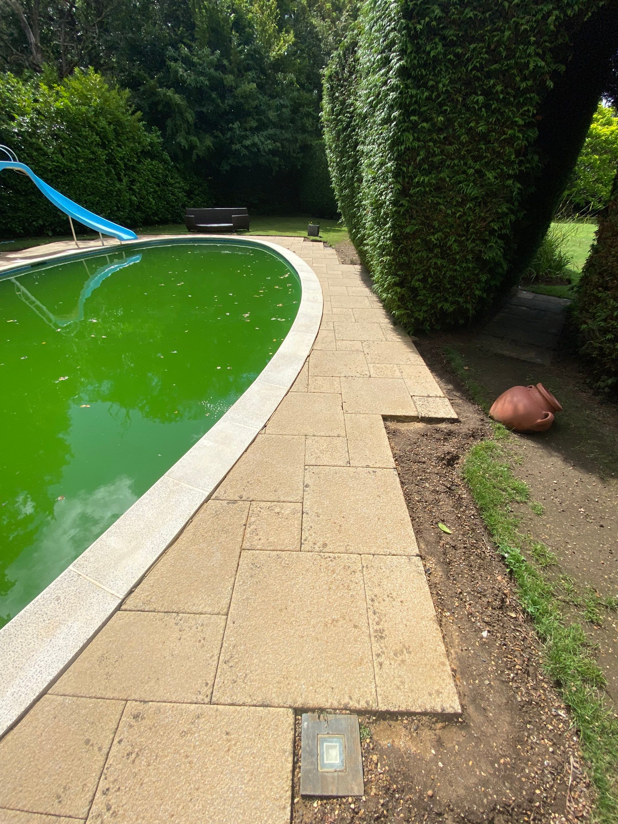 Exterior Clean - Roof - Pool  using Mosmatic FSC and Biocide by Ges Exterior Cleaning ltd