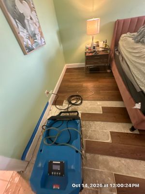 Mold Remediation — Naples, FL