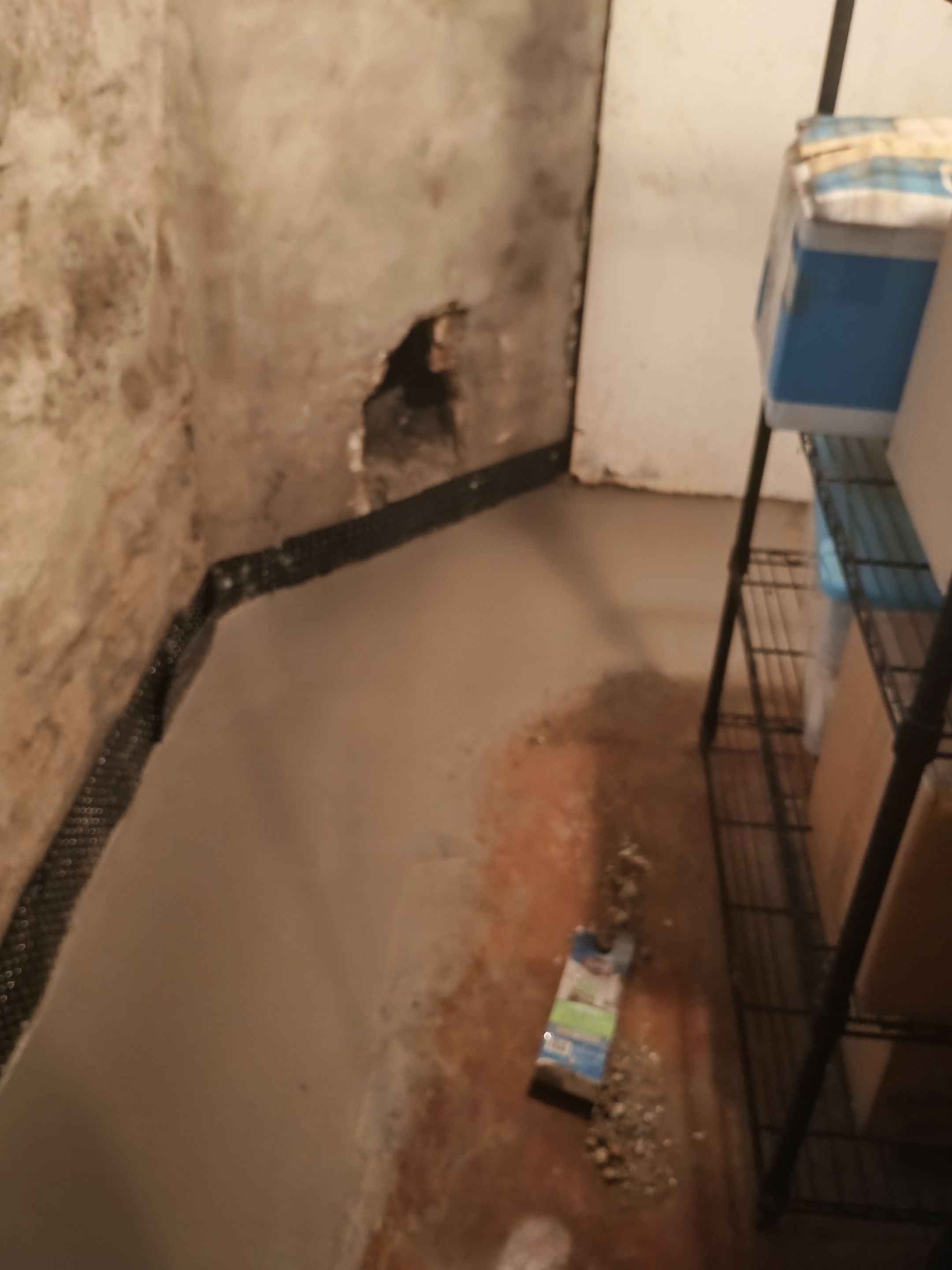 Full Basement Fix for Steve and Lisa by Waterproofing Northeast