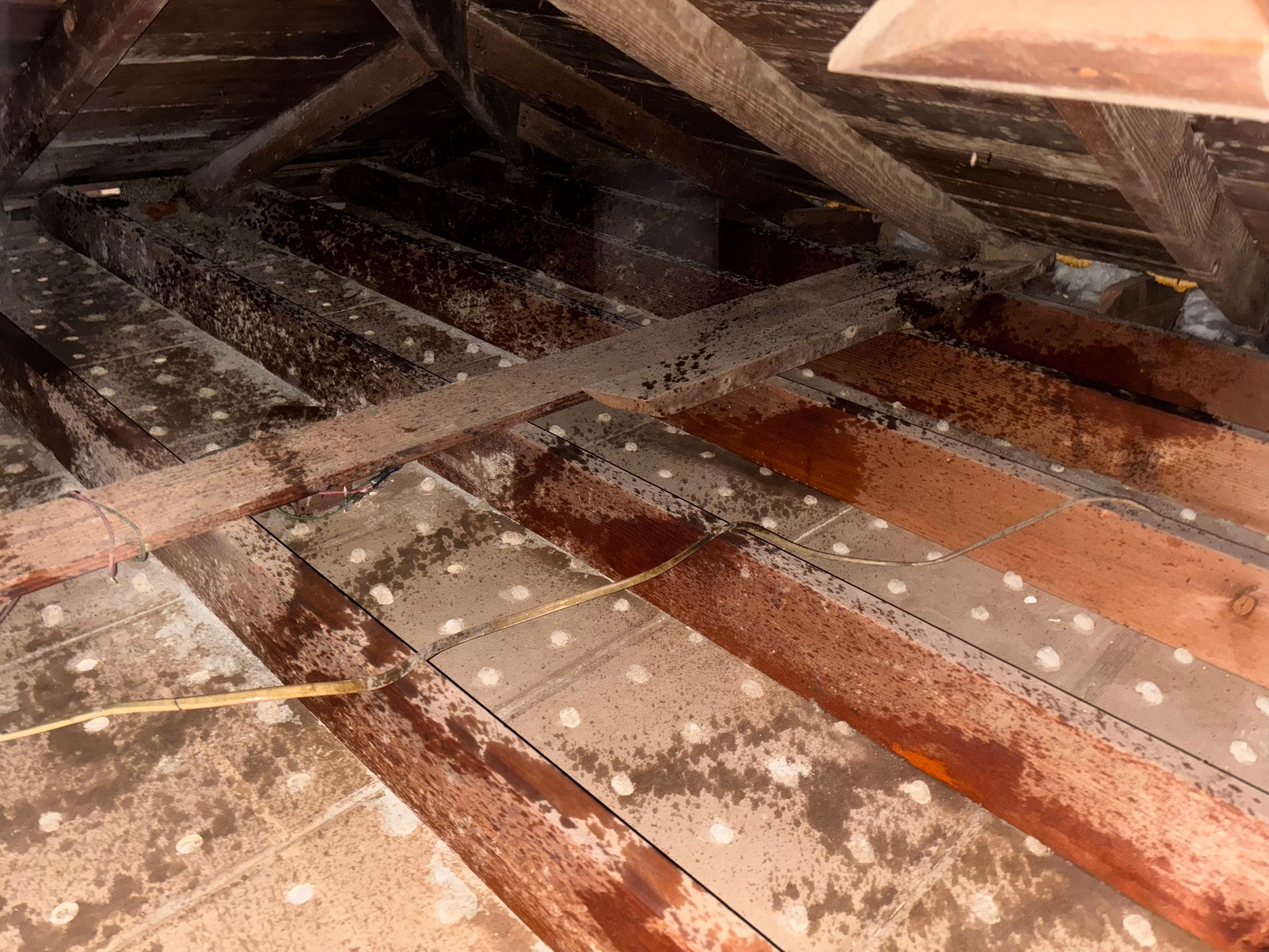 Project in Whittier by Insulation Labs