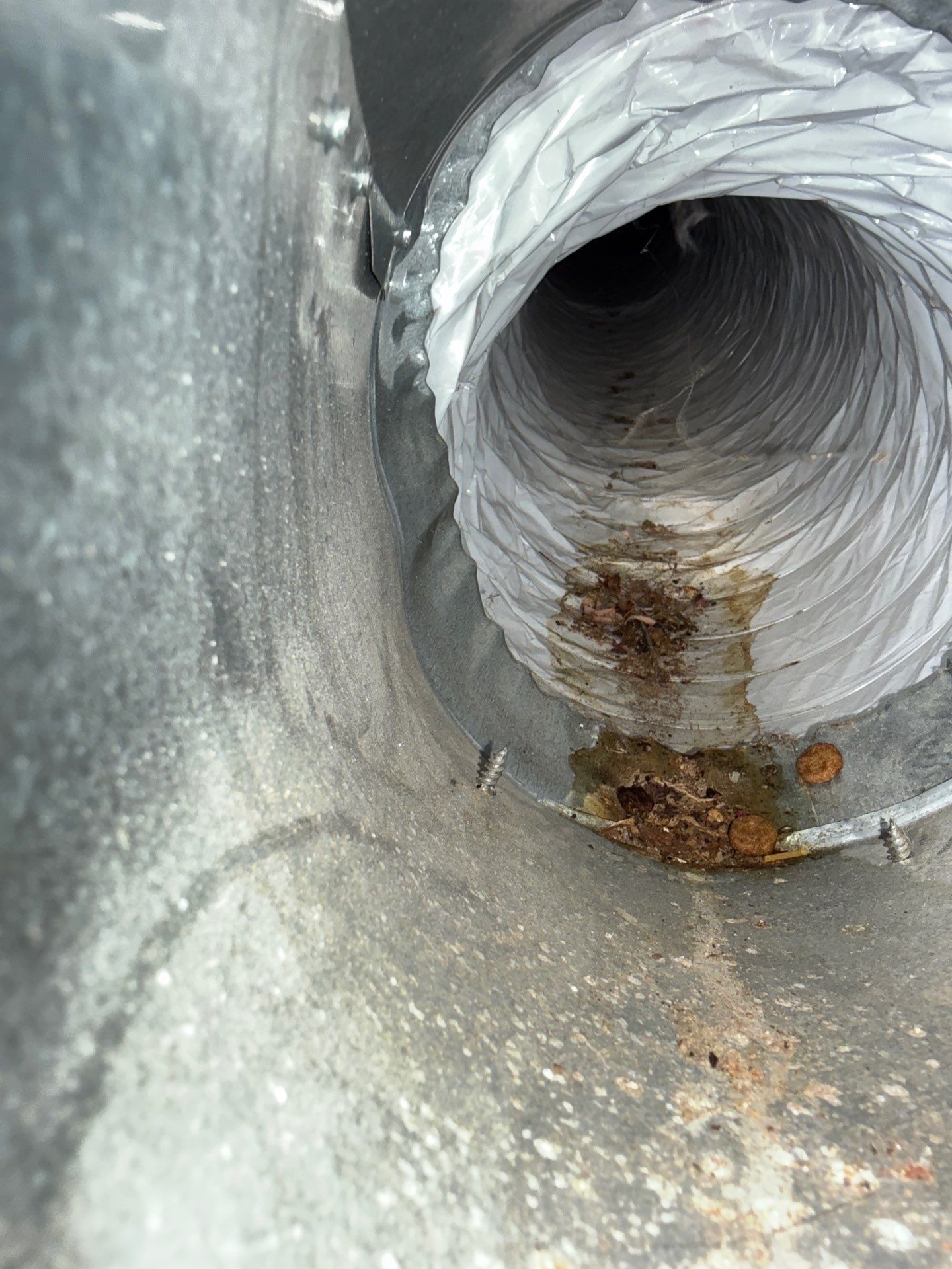 Duct Cleaning and Sanitization by Elemental Heating and air conditioning LLC