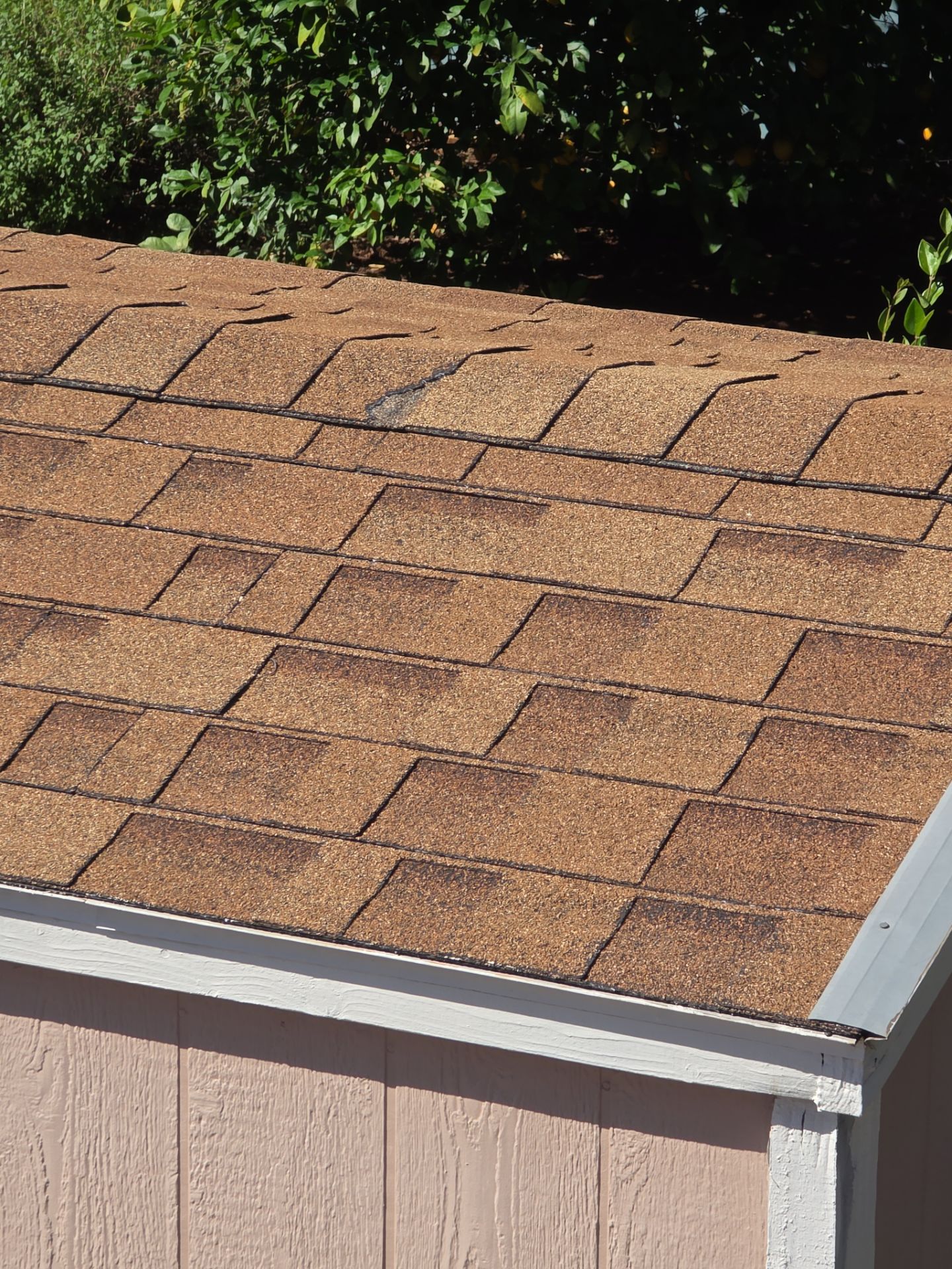 Roof Rejuvenation using Roof Maxx Treatment by Roof Maxx of Folsom