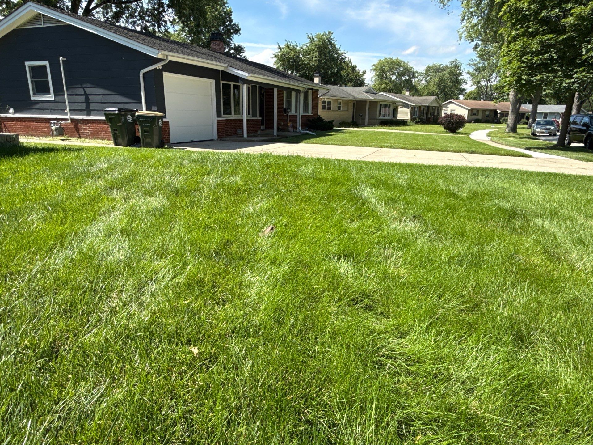 TJ W. - Elk Grove Village, IL by A&N