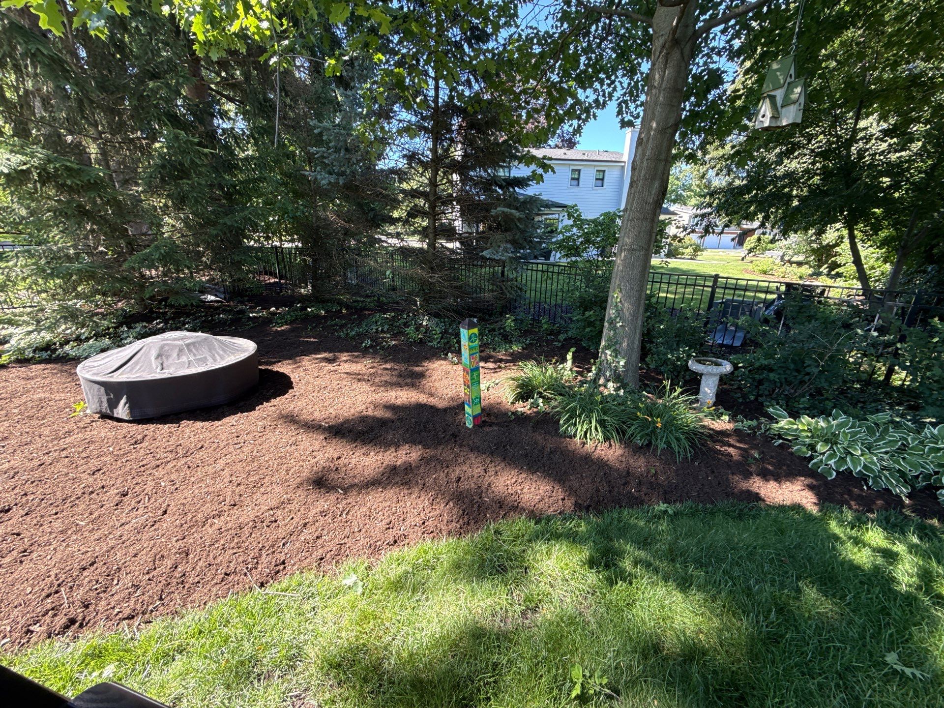 Lesley D. - Arlington Heights, IL by A&N 