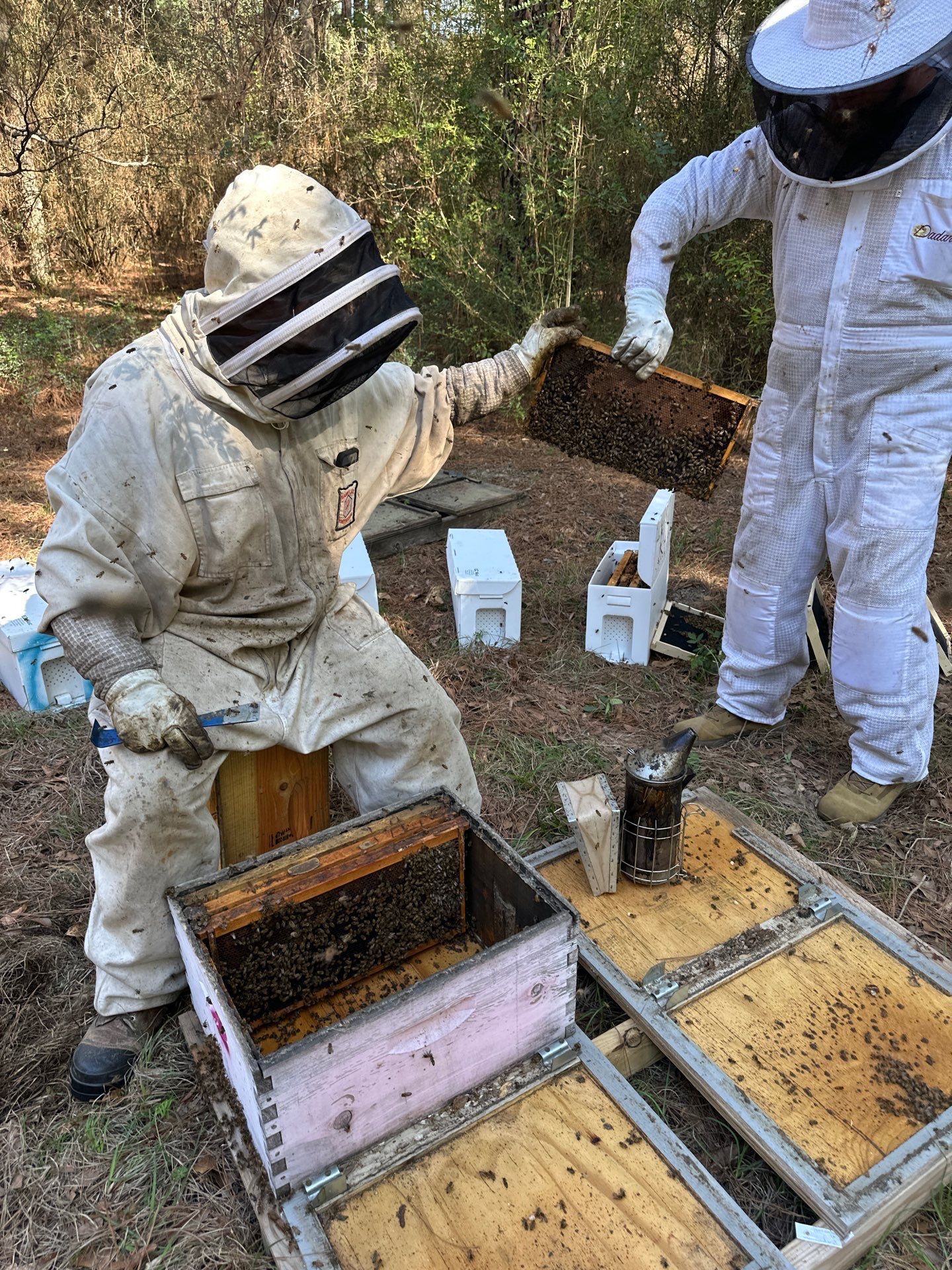 Tree Farm Apiary by Rockwall Honey Bee Company
