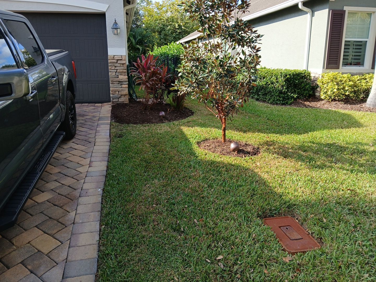 🌿✨ “Snip, Tip & Total Plant Care Bliss” in Palm City ✨🌿 by Alpha Zeta Enterprises Inc