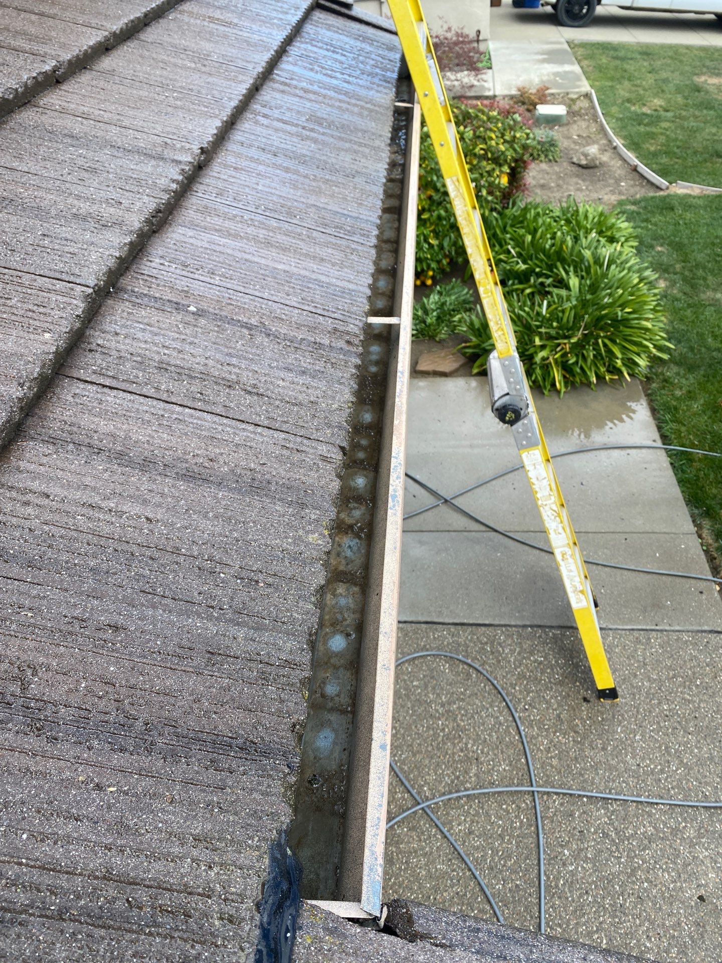 Moss Removal by Top Elevation