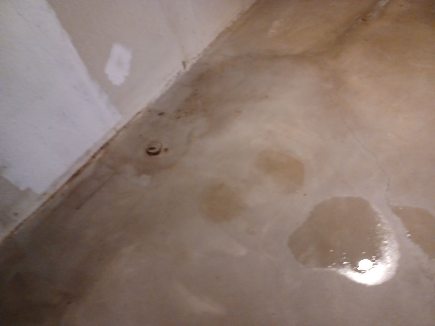 Project in West Bloomfield Township by EzDry Water Mitigation & Property Restoration