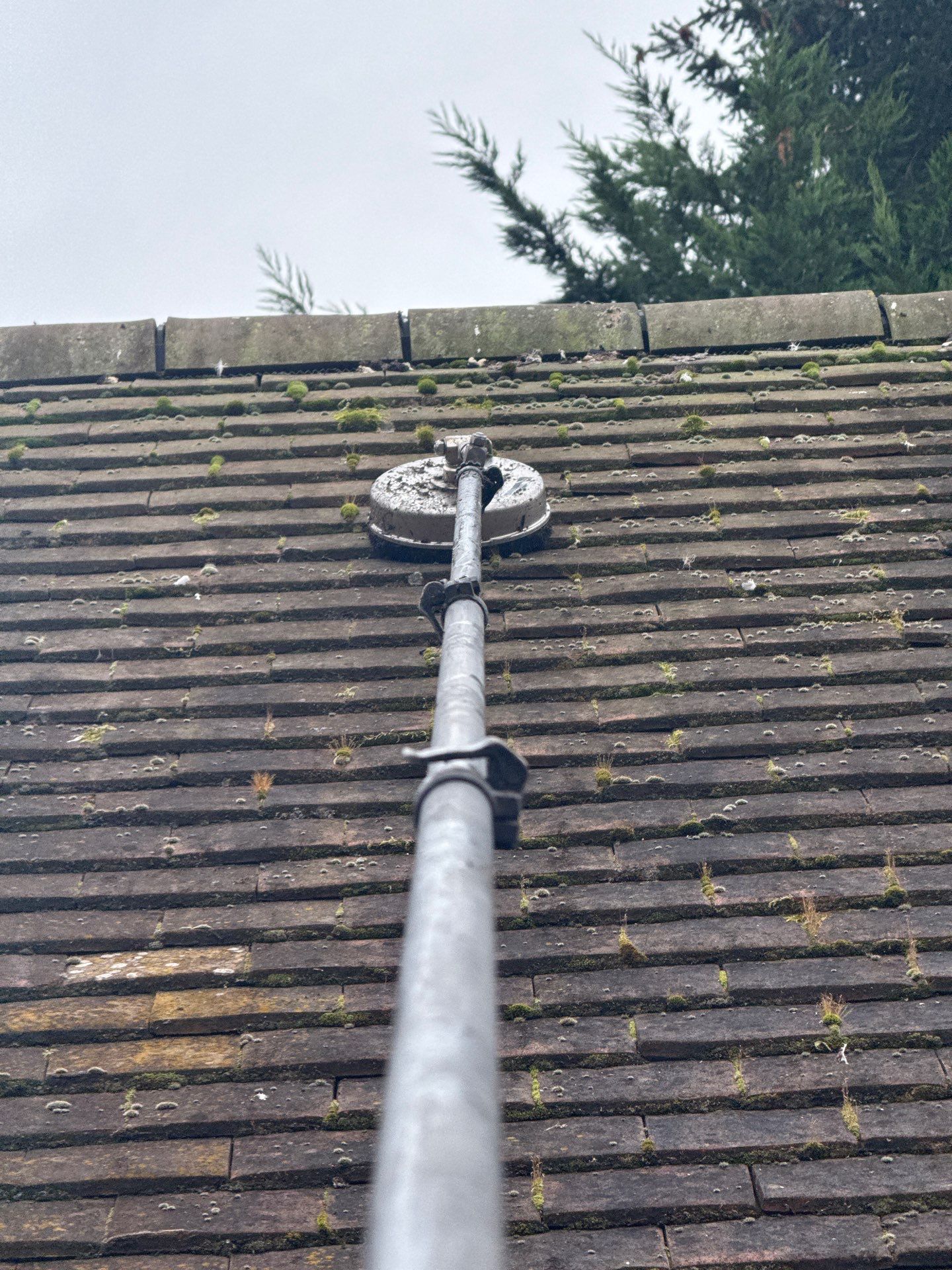 Roof Cleaning by Ges Exterior Cleaning ltd