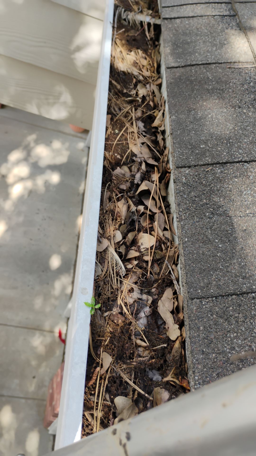 Commercial gutter cleaning Oklahoma before photo with filled gutters