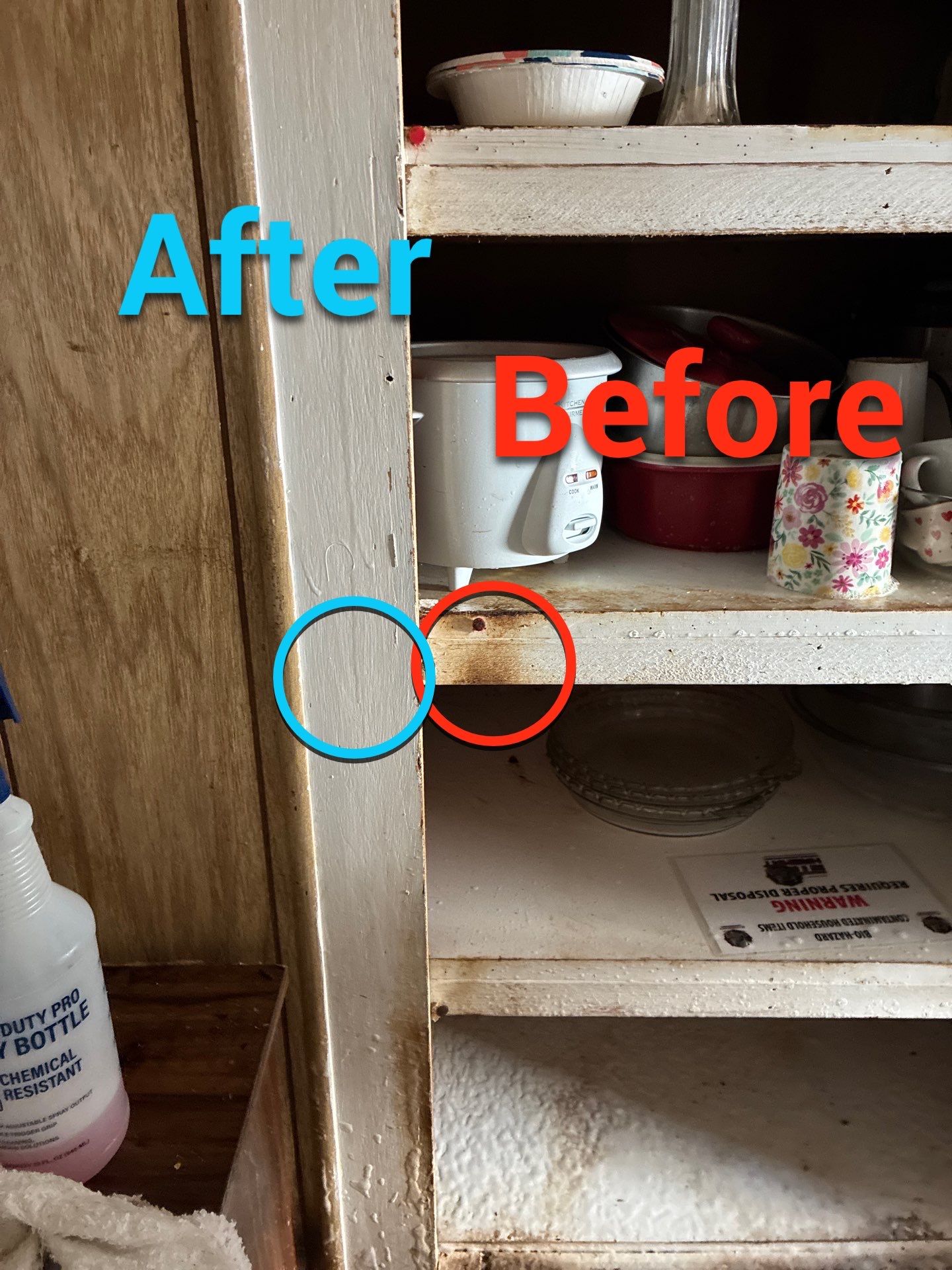 Project in Auburn by 911 Hazmat Cleanup 