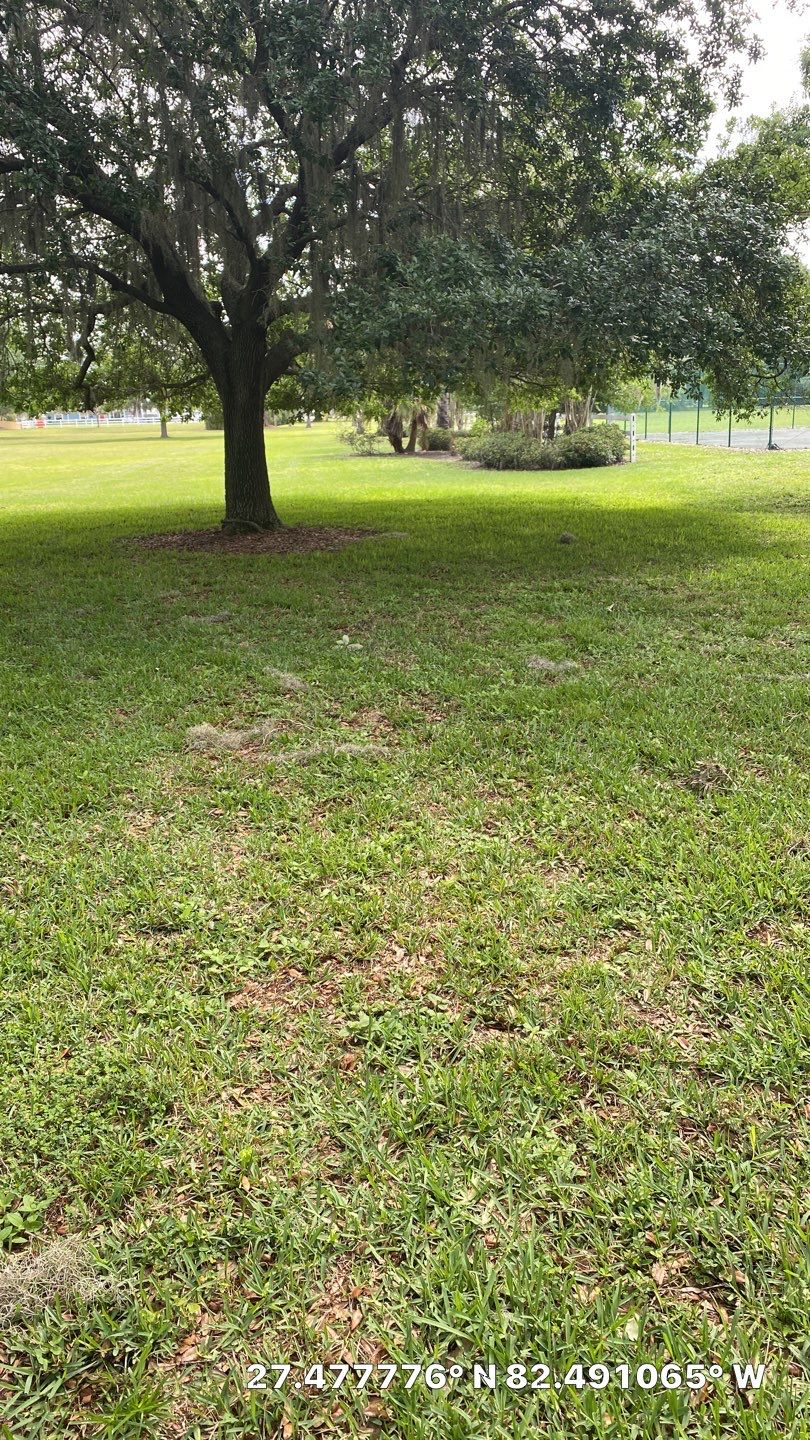 Bradenton, FL 4ft. Tall 3-Rail Ranch Rail and 4ft. Tall 3-Rail Black Aluminum Fence by Asap fence and gates, LLC