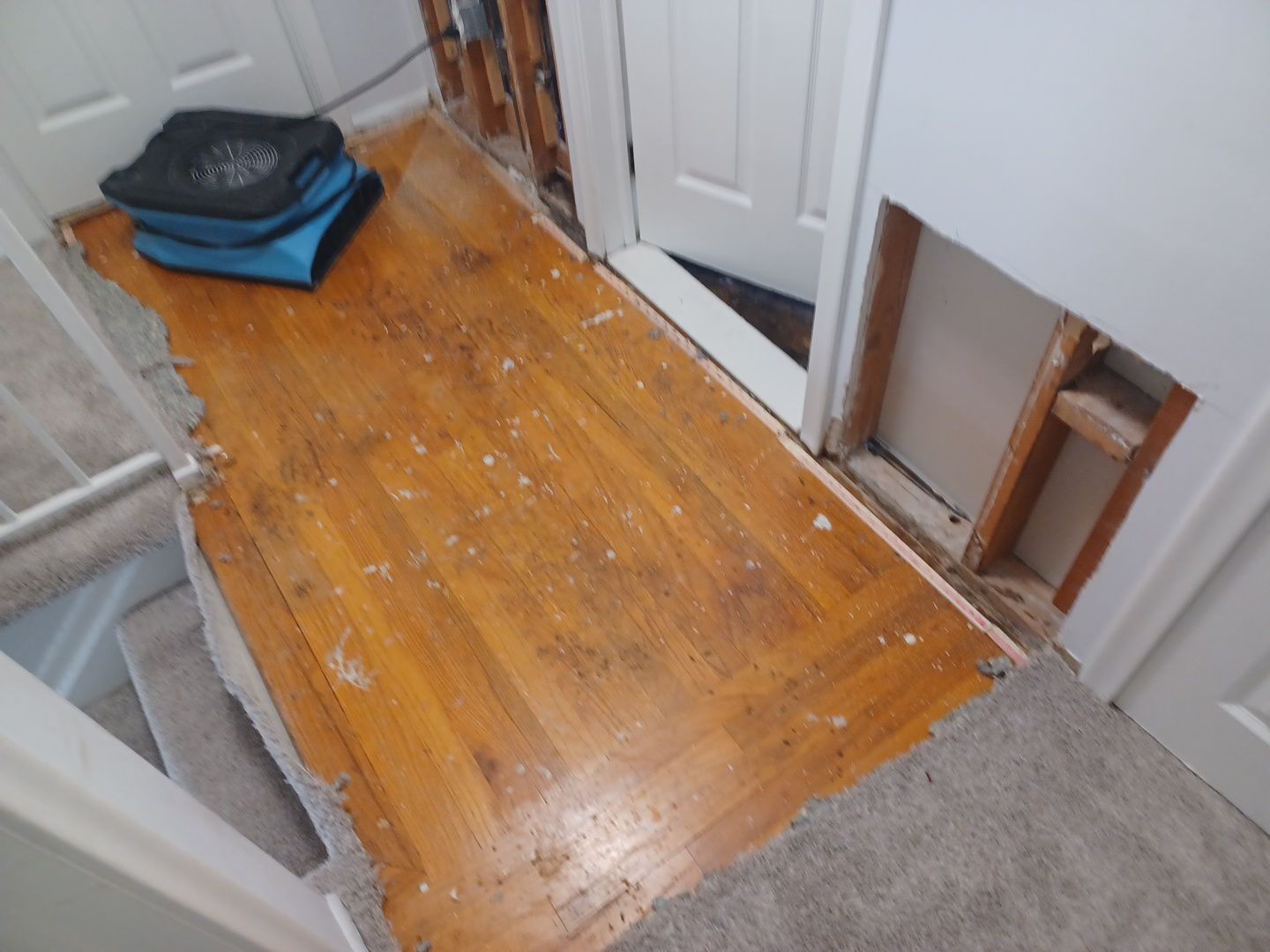 Project in Livonia by EzDry Water Mitigation & Property Restoration