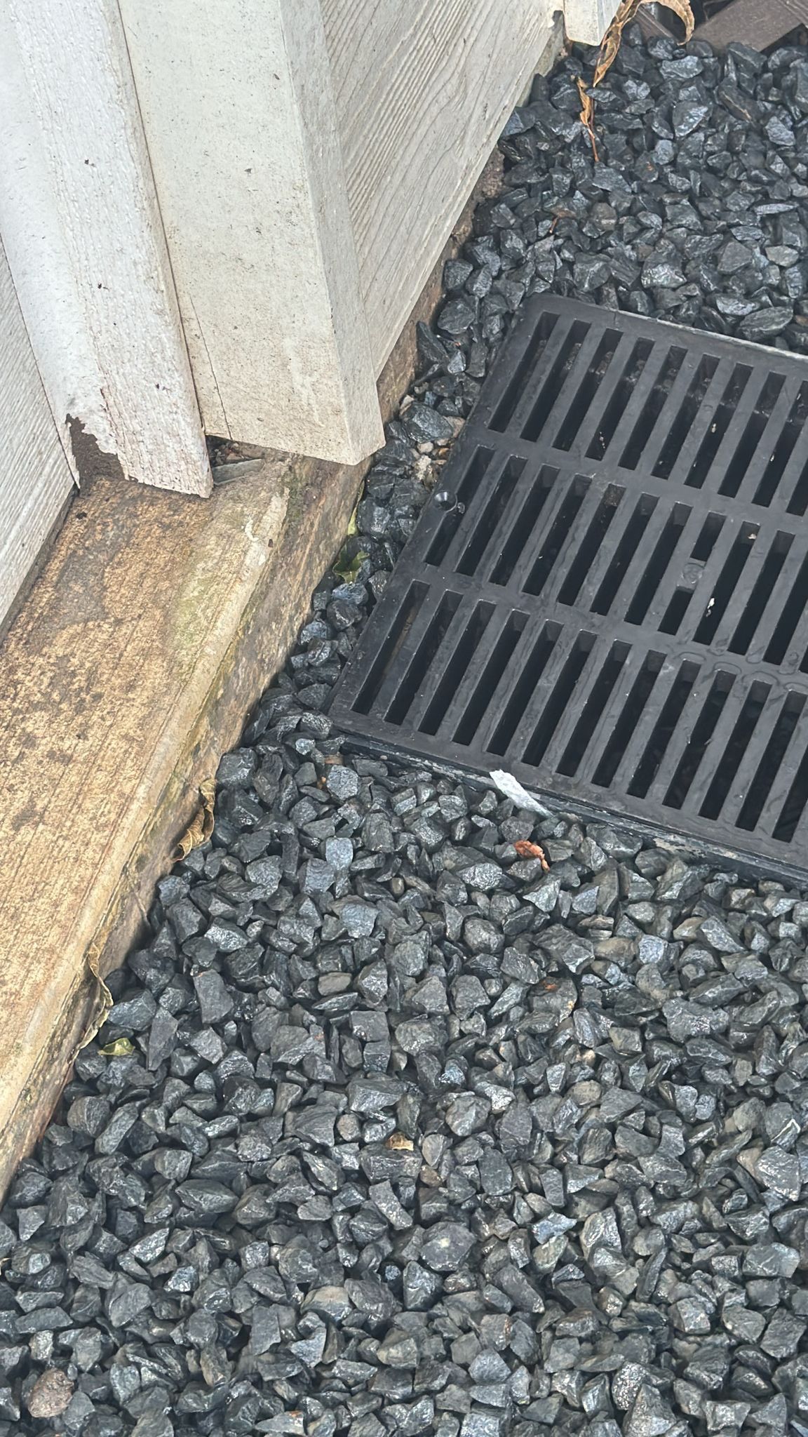 π Driveway & Drainage Transformation by Texas Urban Elements