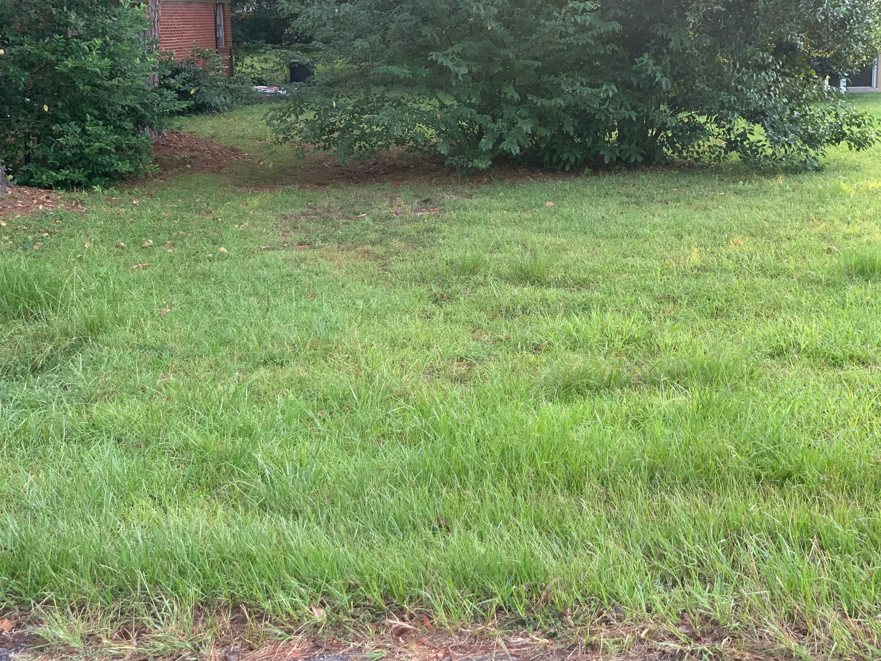 Yard Makeover by College Bros Outdoor services