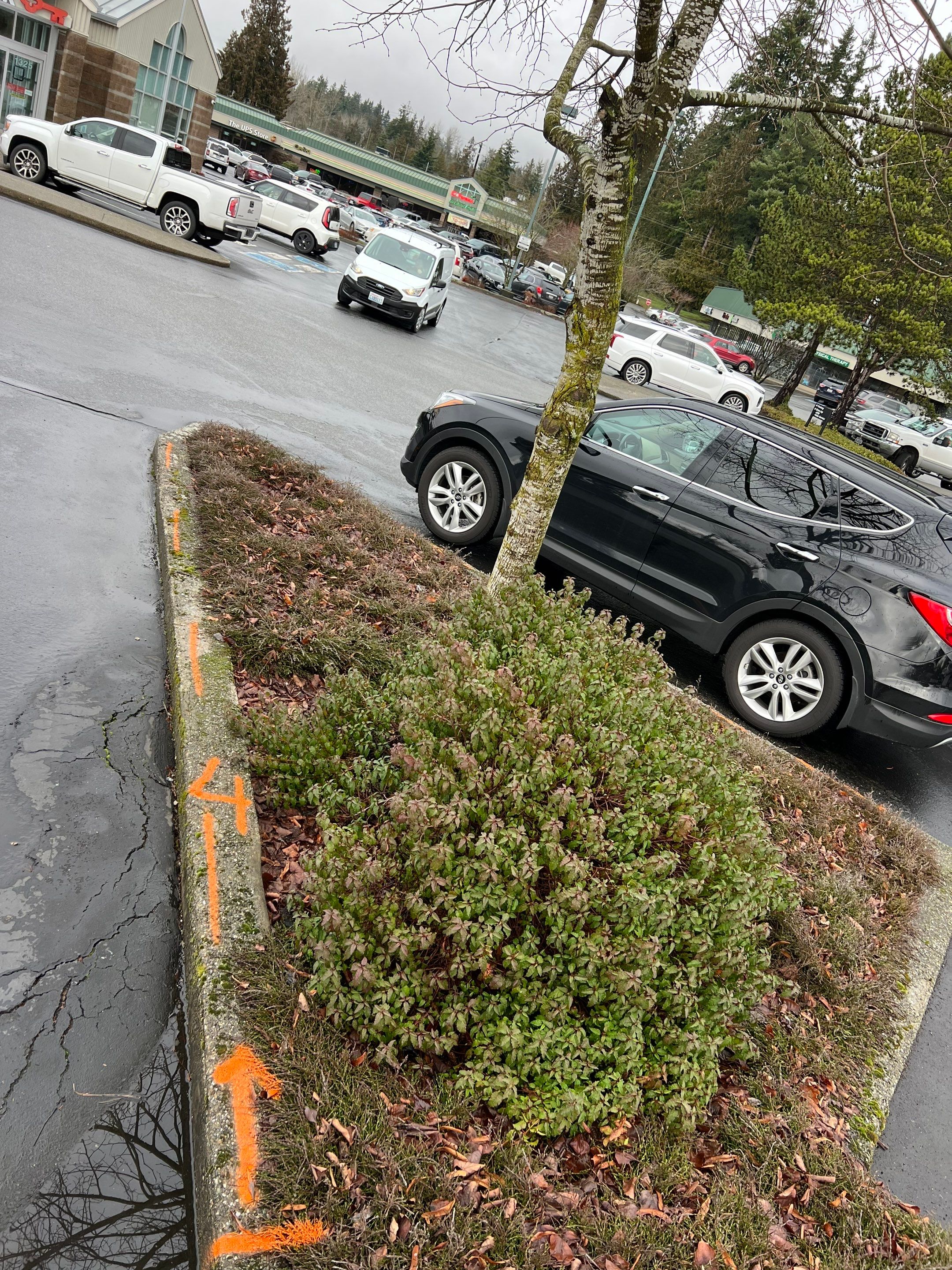 Amanda | Concrete Curb by Jireh Asphalt & Concrete Inc 