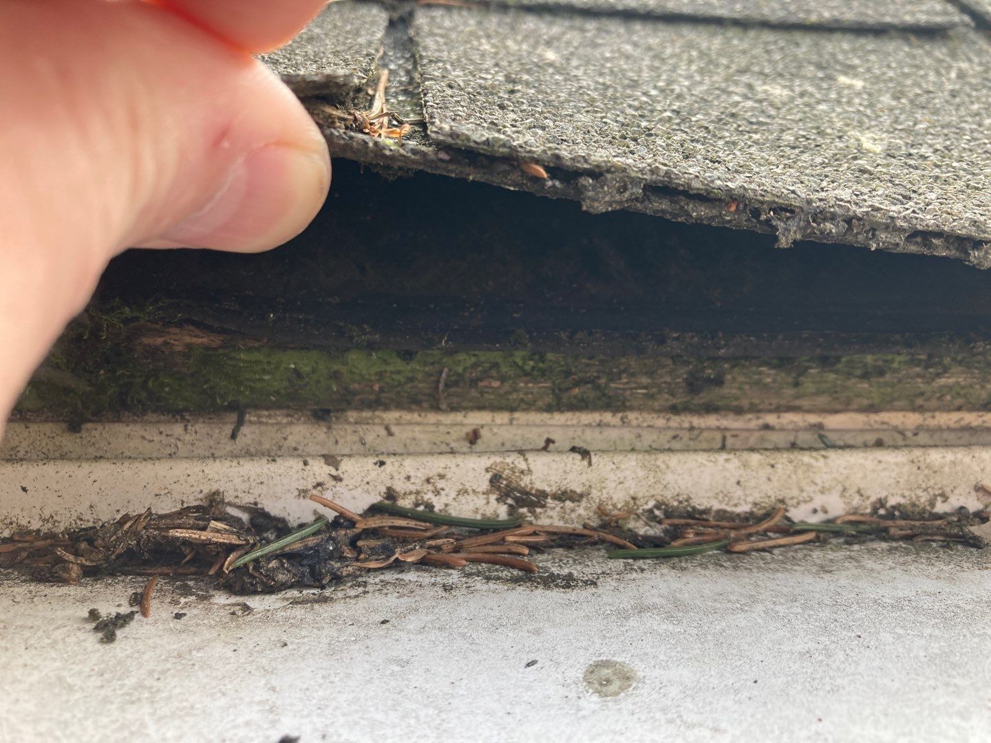Residential Roofing Repair using Owens Corning Duration, Colonial Slate by Absolute Roofing and Construction