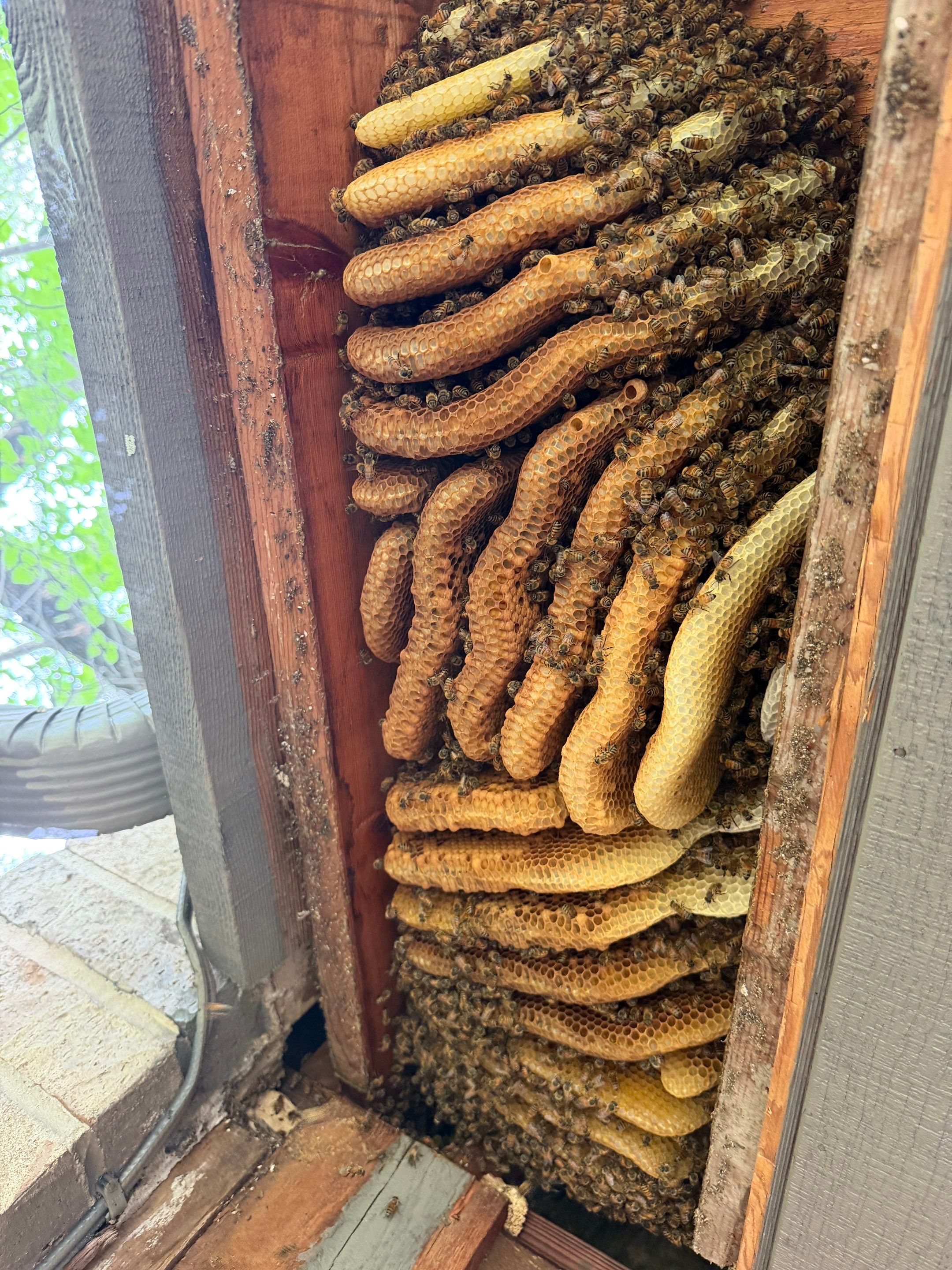 Love this house! by Rockwall Honey Bee Company