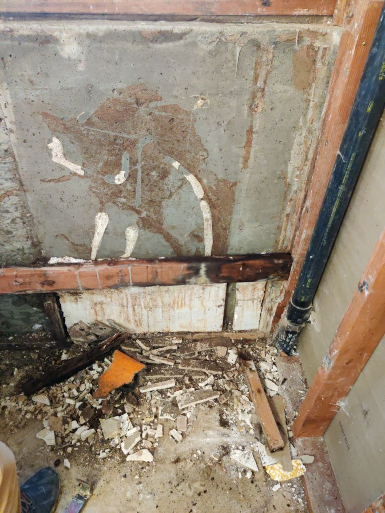 Mold Remediation in Bathroom by Accountable Home Services