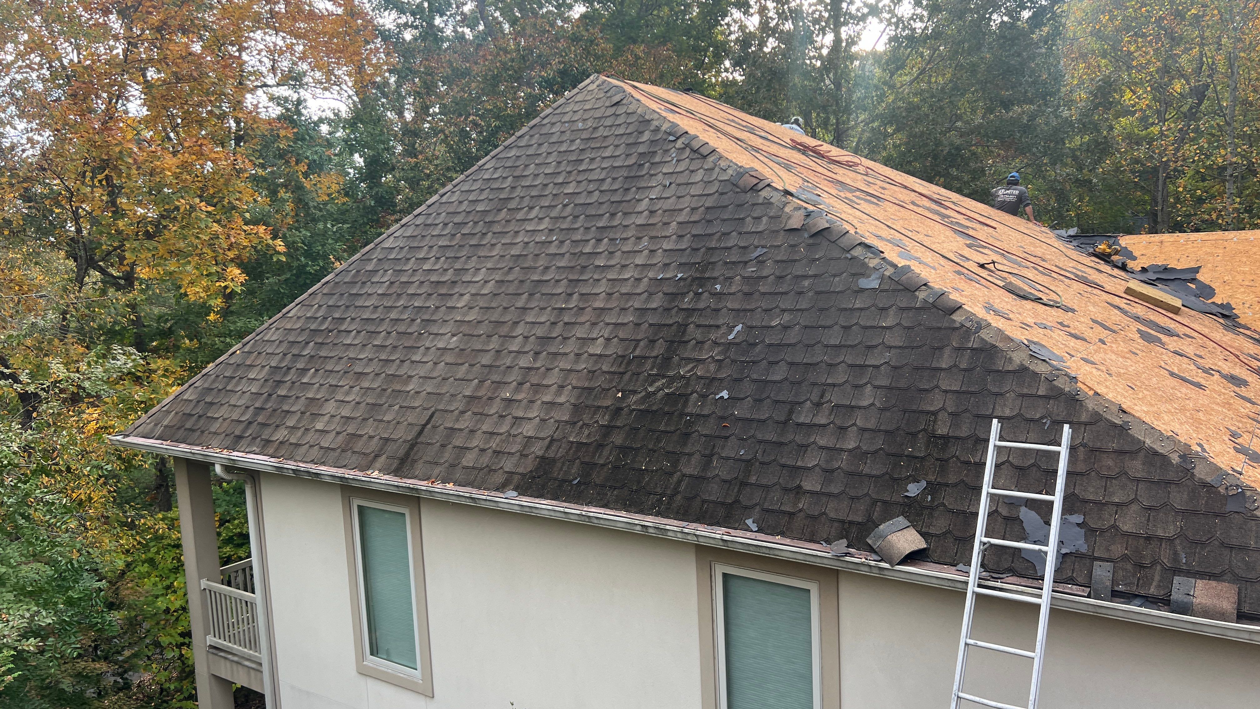 Catherine Cutter by United Contracting and Roofing
