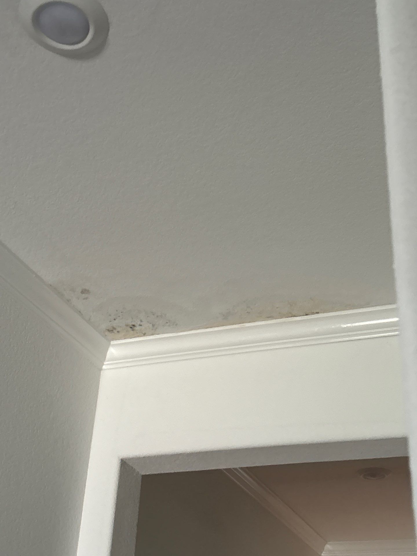 Roof Repair Baytown by Roof Repair Company