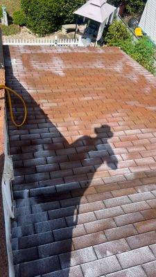 Project in Sandston