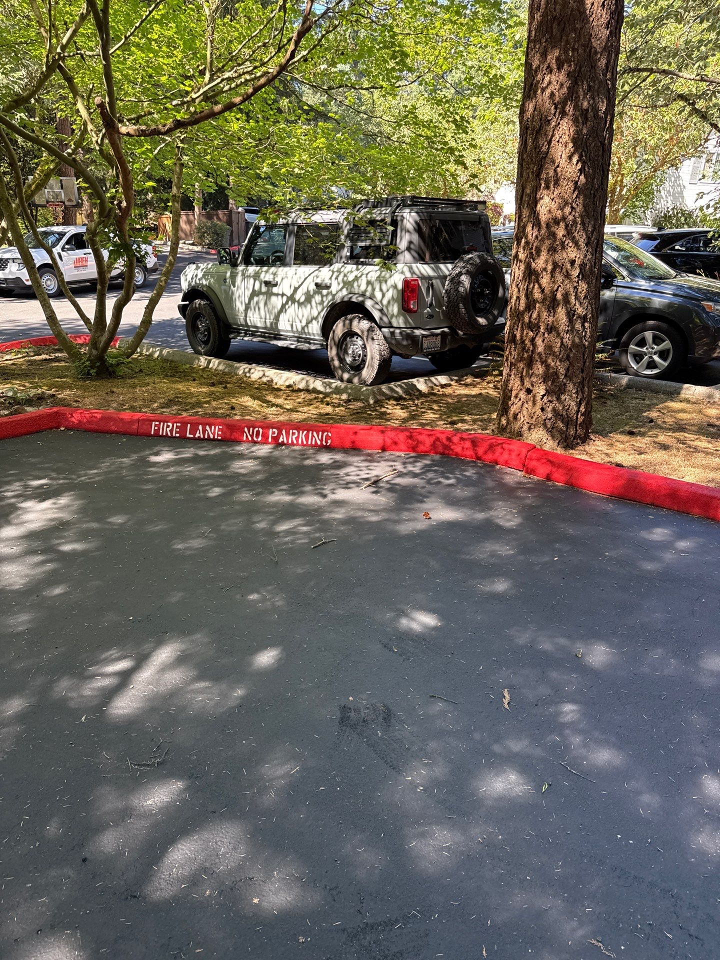 Curb Repaint | Seattle  by Jireh Asphalt & Concrete Inc 