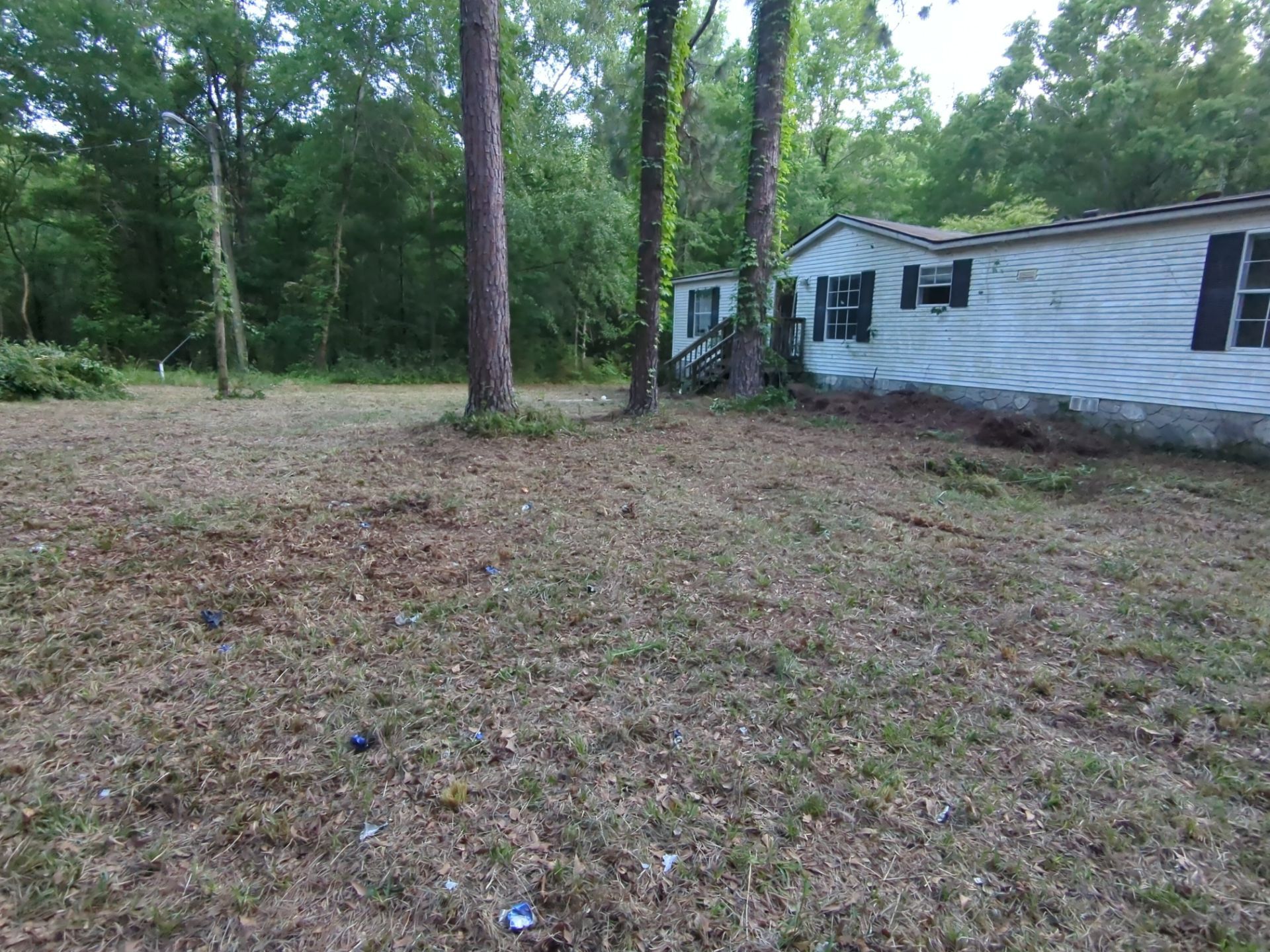 Exterior Clearing - tree trimming - grass cut by Swift Signings and Services LLC