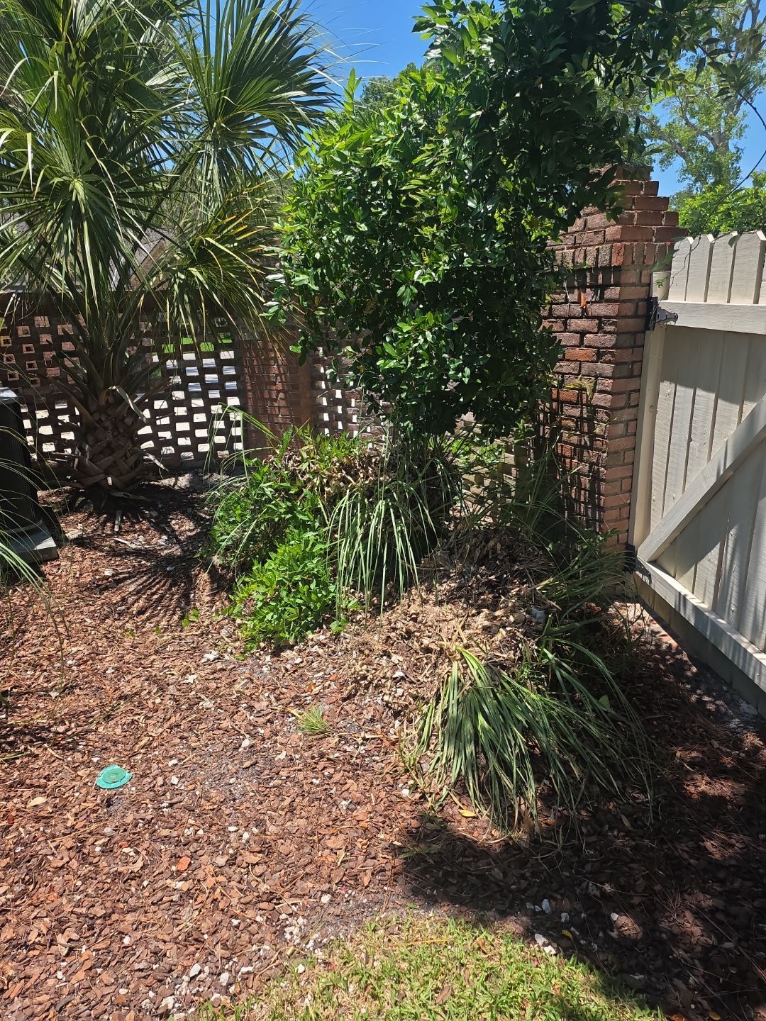 Deerwood Resident | Freshen Up Project by ProGreen Services