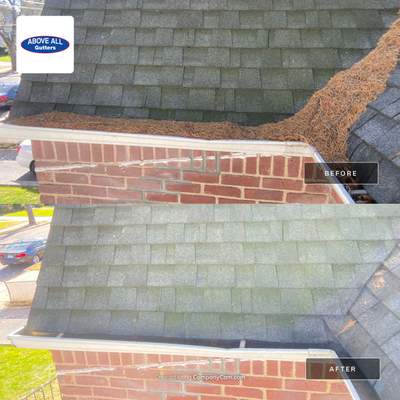 Pine needles fall all year round. 🌲