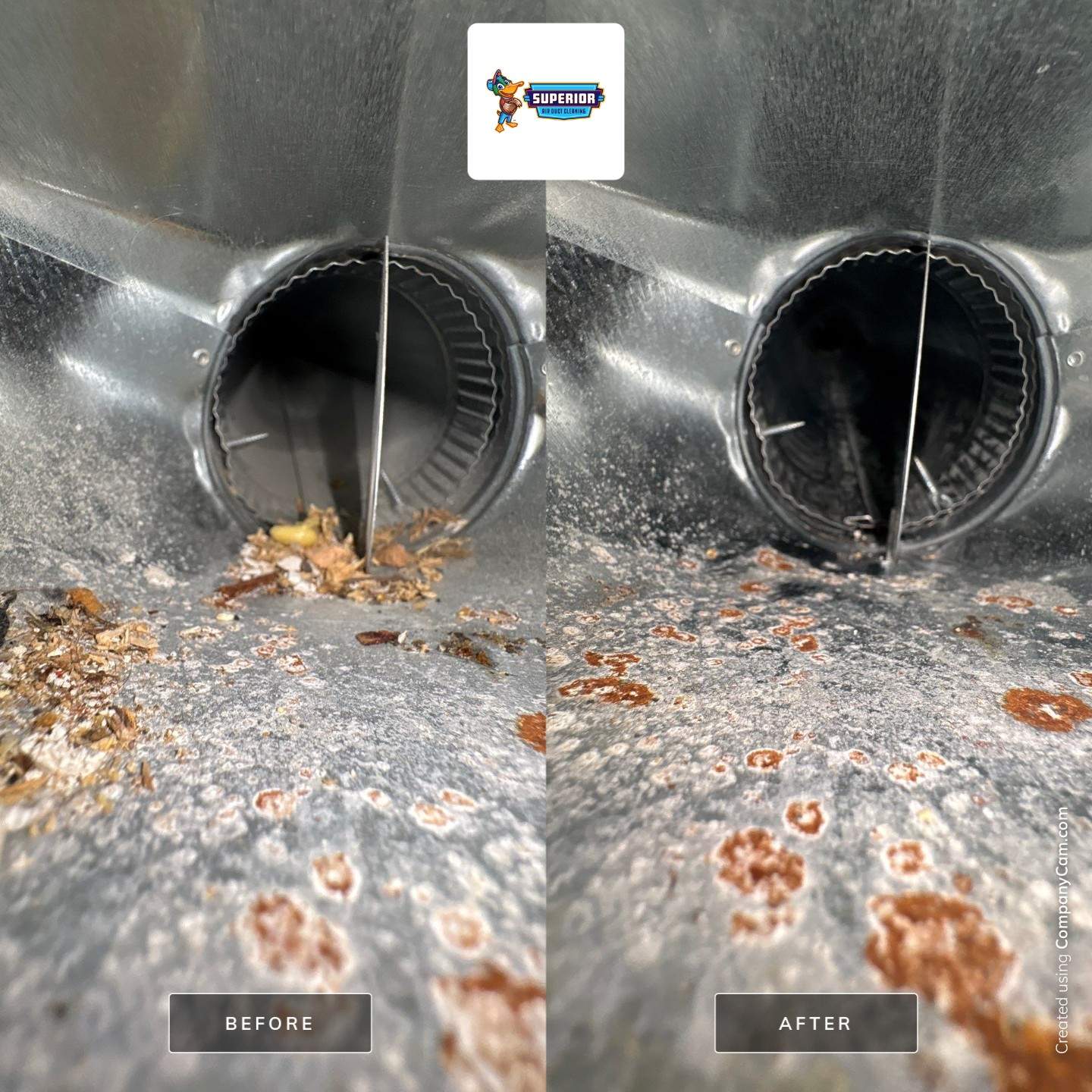 Air Duct Cleaning With a Vacuum Truck in Bridgeville, PA by Superior Air Duct Cleaning
