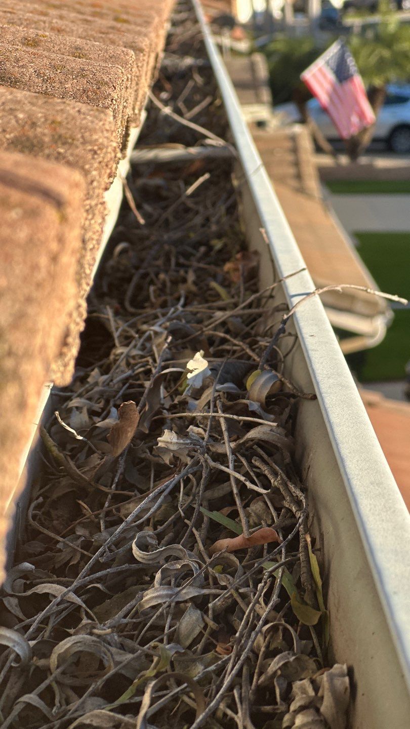 Irvine Gutter Cleaning by Property Cleaning Experts