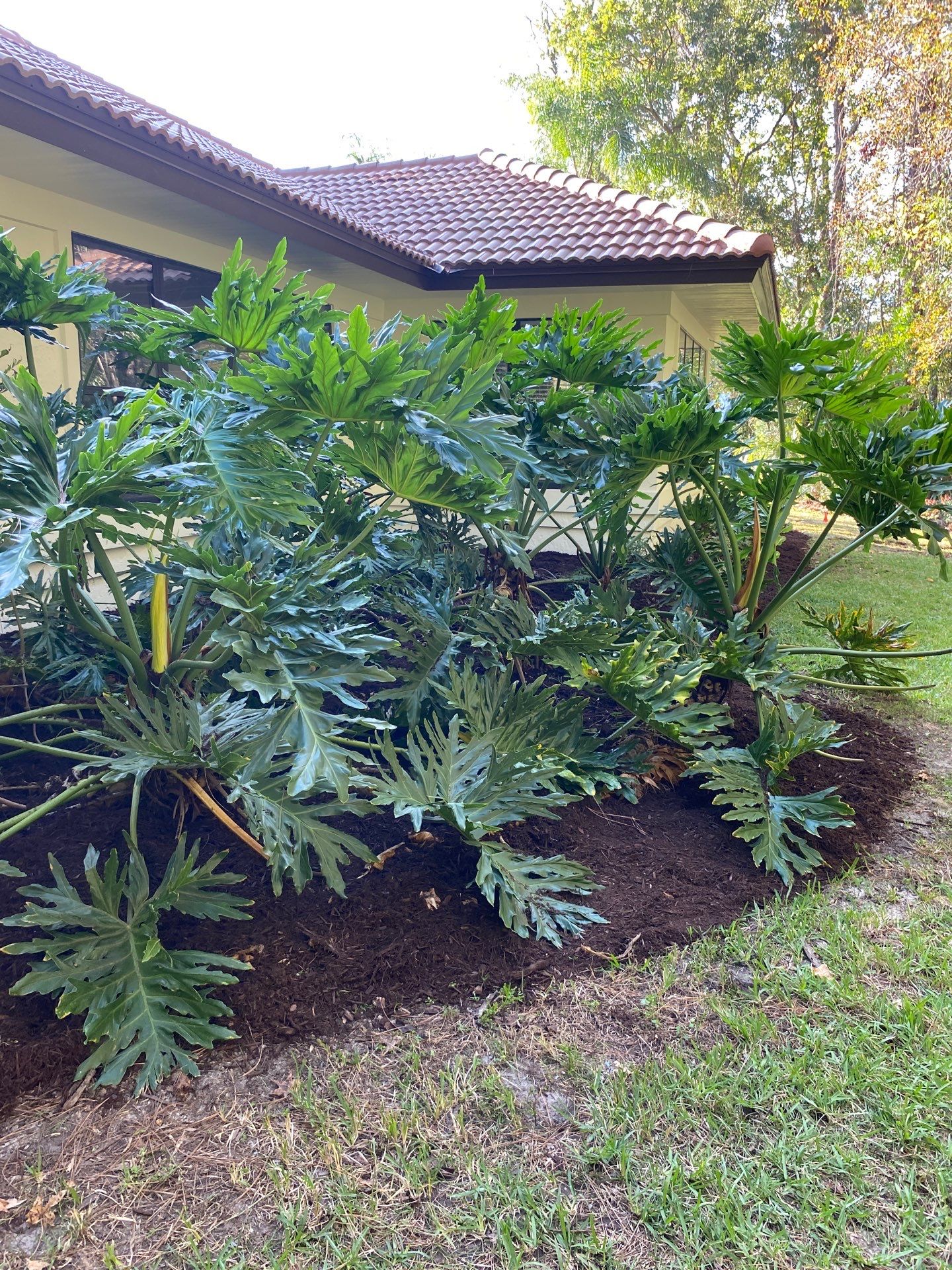 Deerwood Residence | Sod Repair & Mulch Installation  by ProGreen Services