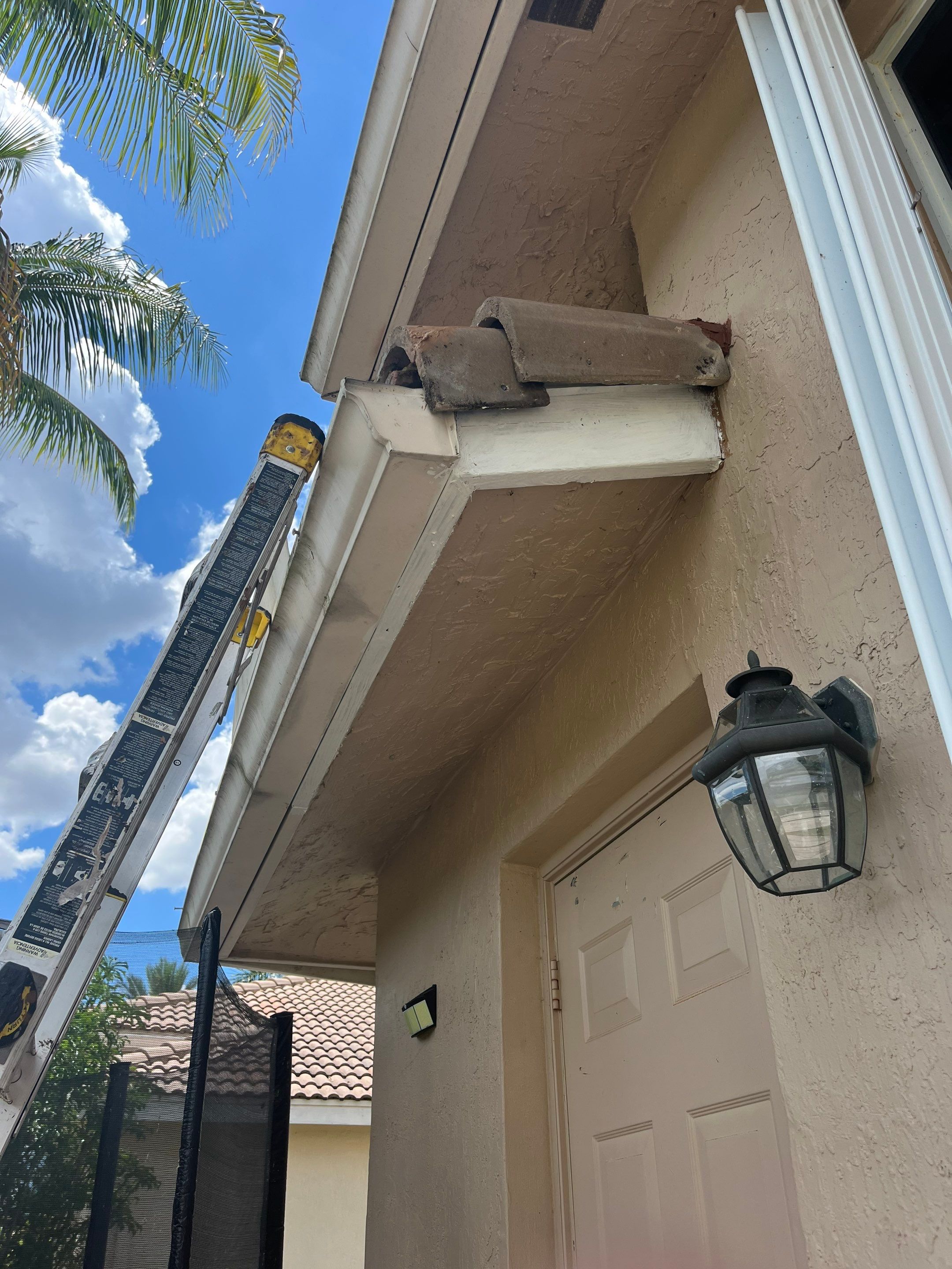 Roof repair due to bird-related damage by The Goat Contractor ( Giampri Corp)